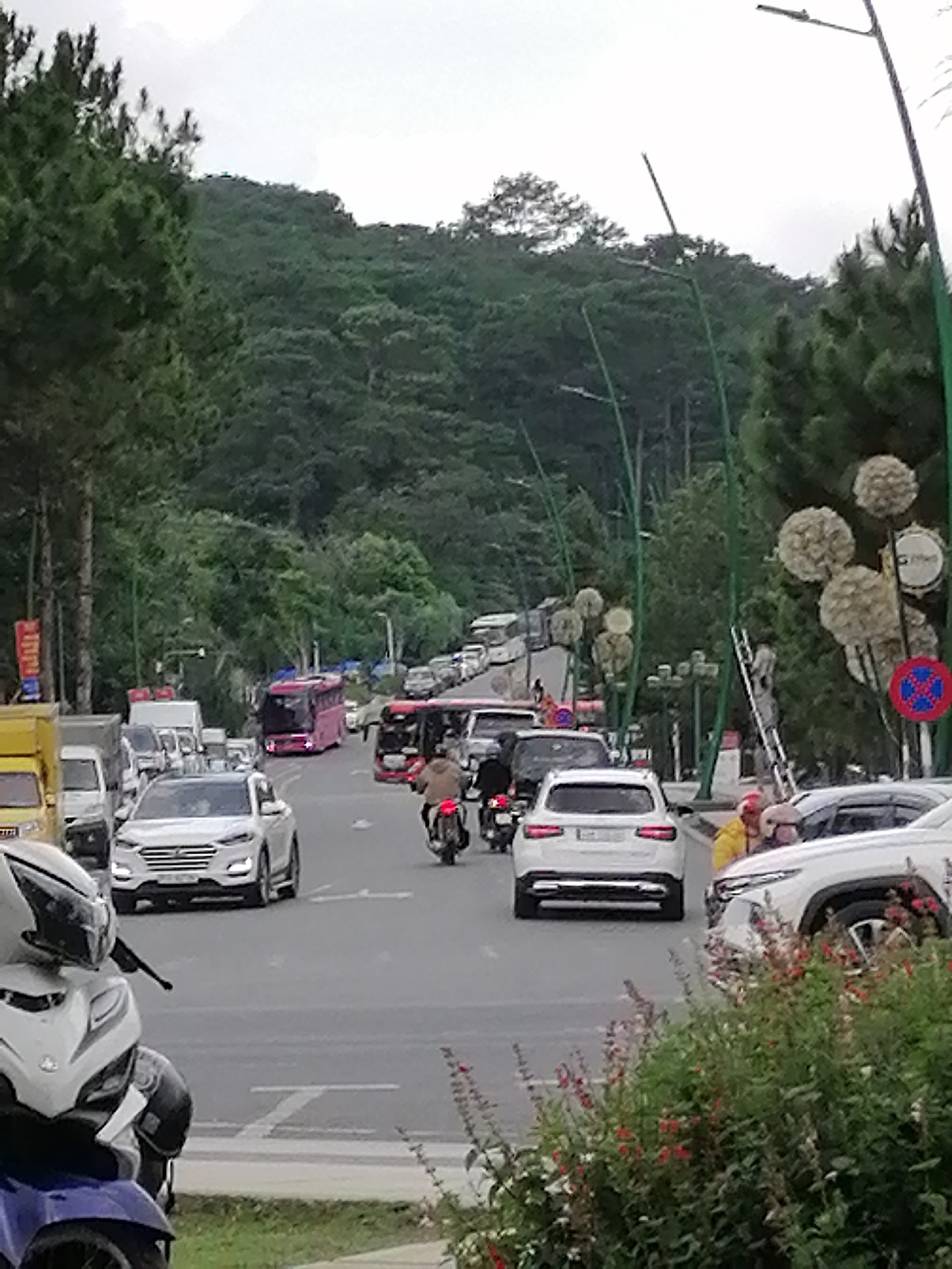 The image depicts a busy street in Da Lat, Vietnam, characterized by lush green hillsides and a cloudy sky. Several vehicles, including cars, buses, and motorcycles, are navigating the road, suggesting moderate traffic congestion. The architecture visible includes streetlights with decorative spherical elements and some buildings peeking through the dense foliage. The overall scene captures a slice of urban life in a mountainous region, with nature playing a significant role in the landscape.