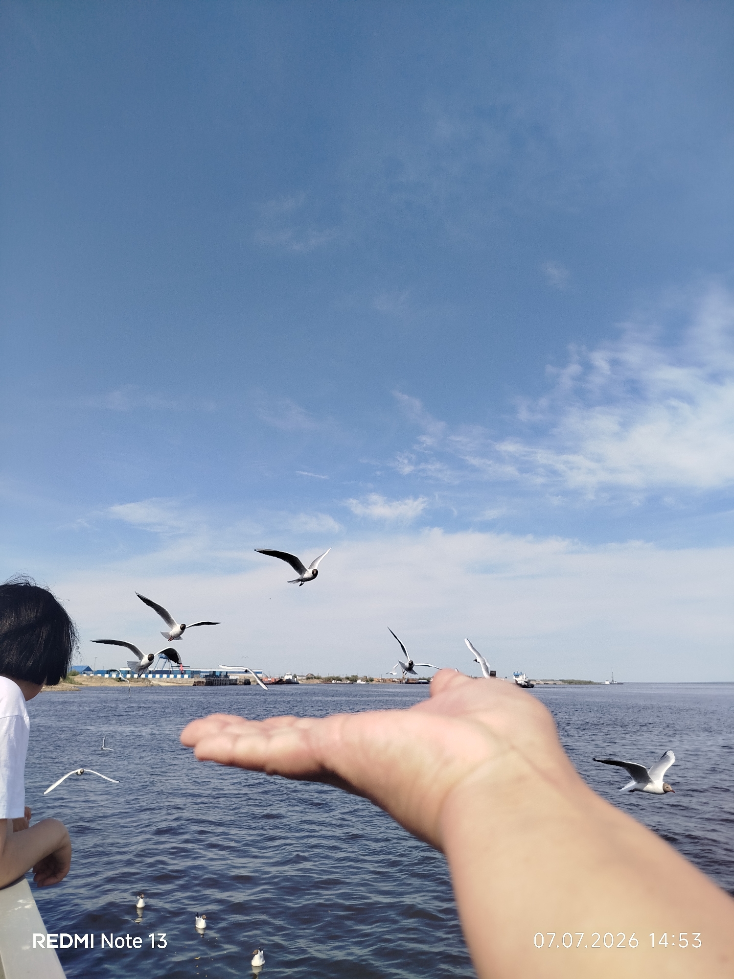 A point-of-view shot from a boat on a body of water, with a person's outstretched hand in the foreground. Several seagulls are in flight and on the water, some appearing to be interacting with the outstretched hand. In the background, there is a coastline with buildings and boats, under a blue sky with scattered clouds. The timestamp "07.07.2026 14:53" and "REDMI Note 13" are visible in the bottom right and left corners of the image, respectively. The provided location information is not verifiable from the image itself.
