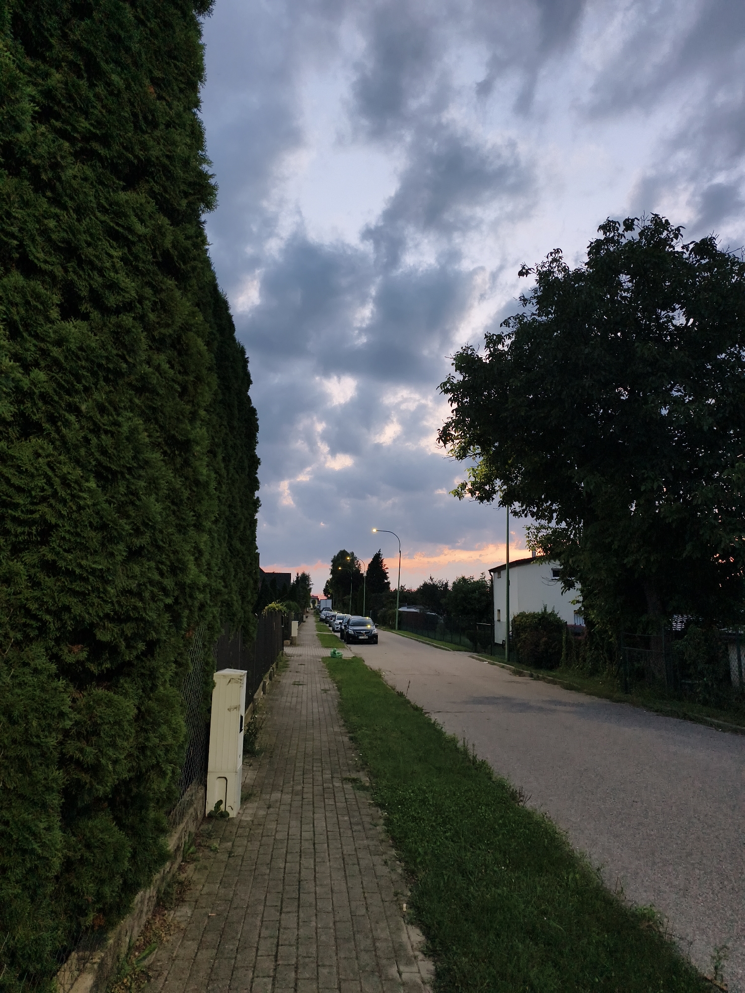 The image depicts a residential street in Tczew, Poland, during dusk. A dense, tall evergreen hedge lines the left side of the scene, running parallel to a paved sidewalk made of light-colored rectangular bricks. A metal fence is visible behind the hedge. A white utility box is situated on the sidewalk near the hedge. The street, which curves slightly to the right and uphill, is paved with asphalt and has a grassy shoulder on the right side. Several parked cars are visible on the right side of the street, as well as a streetlamp. The background reveals houses and trees under a cloudy sky with hints of orange and pink from the setting sun.