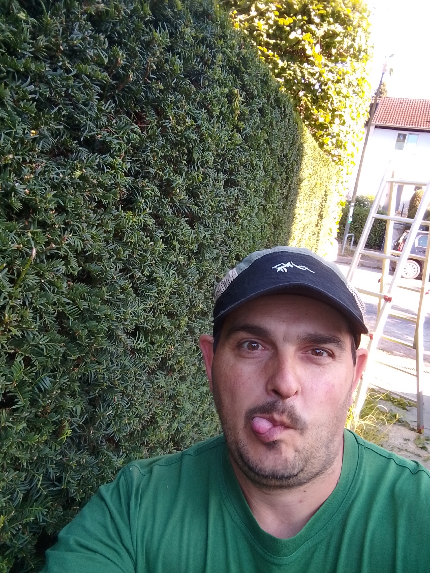 This image captures a man wearing a green t-shirt and a baseball cap, sticking his tongue out playfully. He stands in front of a tall, dense green hedge, likely in a residential area. To his right, a tall aluminum ladder leans against what appears to be a white building with a red-tiled roof, suggesting a home. The presence of a ladder and the neatly trimmed hedge imply garden maintenance. The background shows foliage and a portion of a street, with a car visible behind the ladder. The lighting suggests it is daytime, possibly late afternoon due to the shadows and warm sunlight. The overall scene conveys a casual, lighthearted moment during outdoor work. Without further context or external information, pinpointing the exact location within Hamburg, Germany, is not possible from the visual data alone.