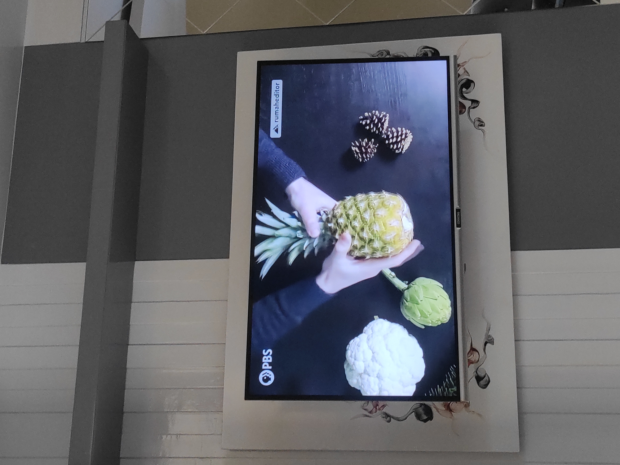 The image shows a television screen displaying a cooking program on PBS. A person's hands are visible, holding a pineapple. In front of the pineapple is a cauliflower and an artichoke. To the right of the pineapple, there are three pinecones. The television is mounted on a wall decorated with a white frame featuring a gray and white striped pattern. On the top left of the screen, the PBS logo is visible. On the top right, a small rectangular icon with the text "rumaheditor" is displayed. The background of the television screen is dark. The surrounding environment suggests an indoor setting, possibly a living room or kitchen. There is no indication that this scene is located in Sumedang, Indonesia.