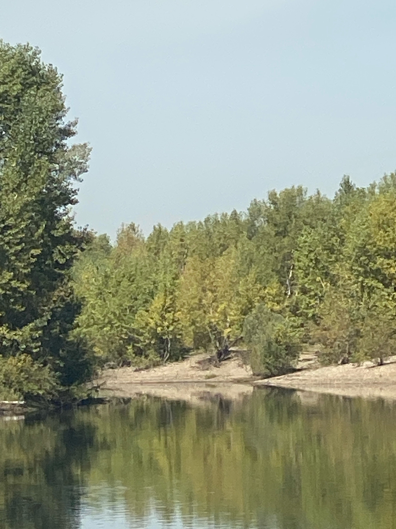 The image depicts a tranquil body of water reflecting a treeline of deciduous trees with foliage showing hints of autumn color. The trees line a sandy bank that slopes gently down to the water. The sky above is a pale, cloudless blue. The scene appears to be a natural outdoor setting, likely a lake or riverbank, devoid of any human activity or identifiable structures. It is not possible to determine the specific location within Novokuznetsk, Russia based on this image alone.