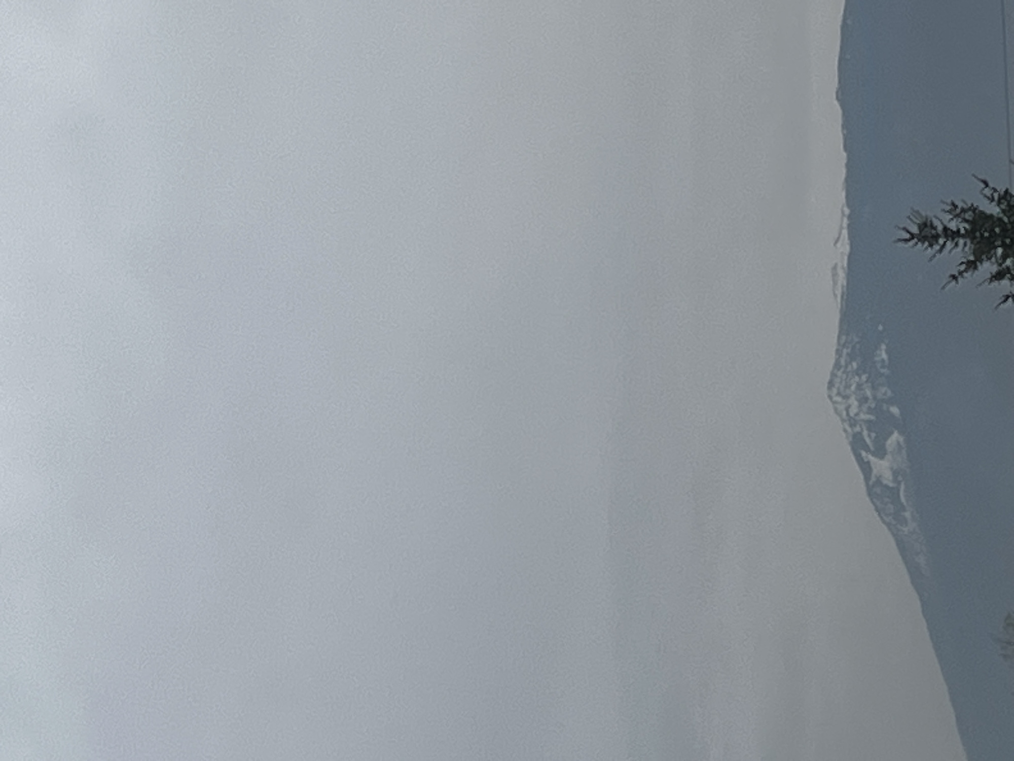 The image depicts a mountainous region under heavy cloud cover. The mountains are visible on the right side of the image, with some snow or ice present on the rocky surfaces. A coniferous tree is partially visible in the upper right corner. The majority of the image is filled with a uniform grey, representing dense fog or clouds.