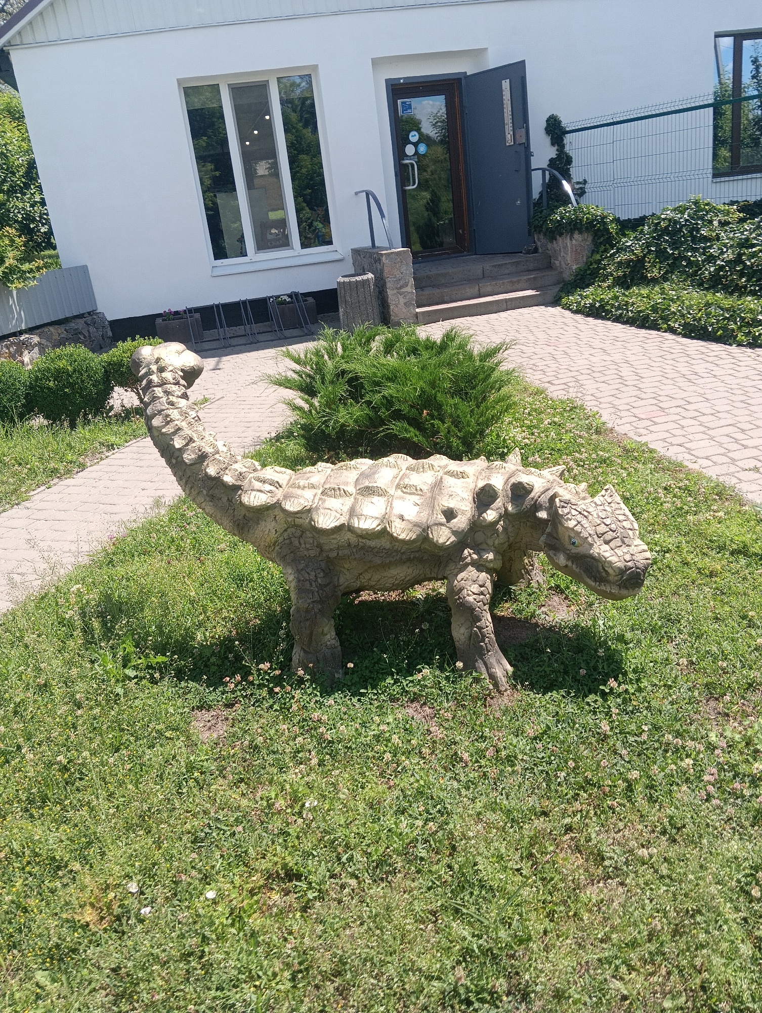 A concrete sculpture of a dinosaur stands on a grassy area next to a paved walkway. The dinosaur sculpture is light tan and textured to resemble scales and plates. It has a long neck, a bulky body, and four legs. A white building with a modern design is visible in the background. The building has large windows and a dark gray door that is partially open. The area around the building and walkway is landscaped with green bushes and ivy. The scene appears to be outdoors on a sunny day.