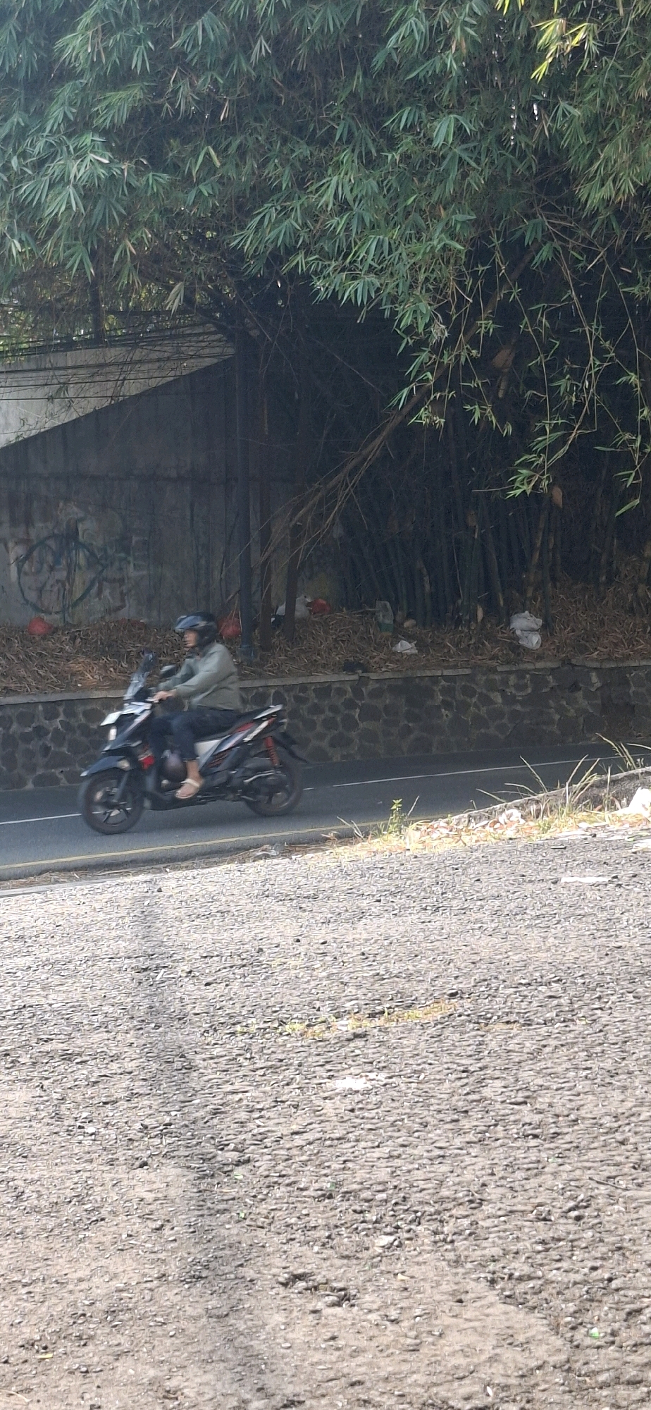 A person wearing a helmet and a light green jacket rides a black and red scooter along a paved road. The scooter has a license plate that is not clearly legible. The road is bordered by a stone wall on the right, behind which is a dense bamboo grove. Scattered dry leaves and some plastic waste are visible at the base of the bamboo. A concrete wall with graffiti is on the left side of the road, partially covered by the bamboo. The scene appears to be outdoors, likely in a semi-rural or suburban area of Cilaku, Indonesia, given the presence of bamboo and the type of road and scooter. The lighting suggests it is daytime.
