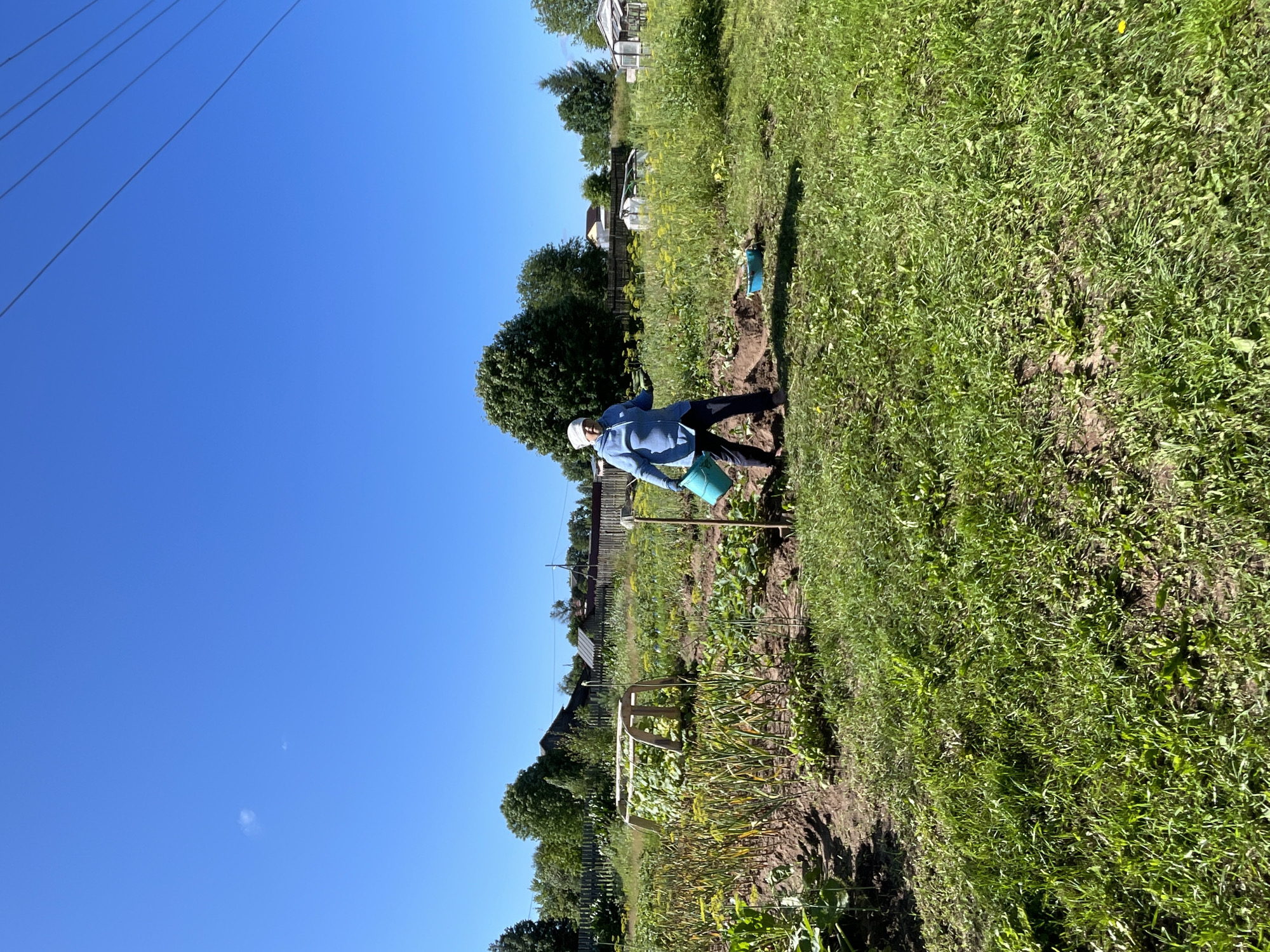 An elderly woman, wearing a light blue zip-up jacket and dark pants, stands in a garden in the village of Dresvyánovo, Russia. She holds a turquoise bucket in her left hand and is looking towards the camera. The garden features rows of plants, a wooden structure, and several blue buckets scattered on the ground. In the background, there are wooden houses and a fence, with trees and a clear blue sky overhead.