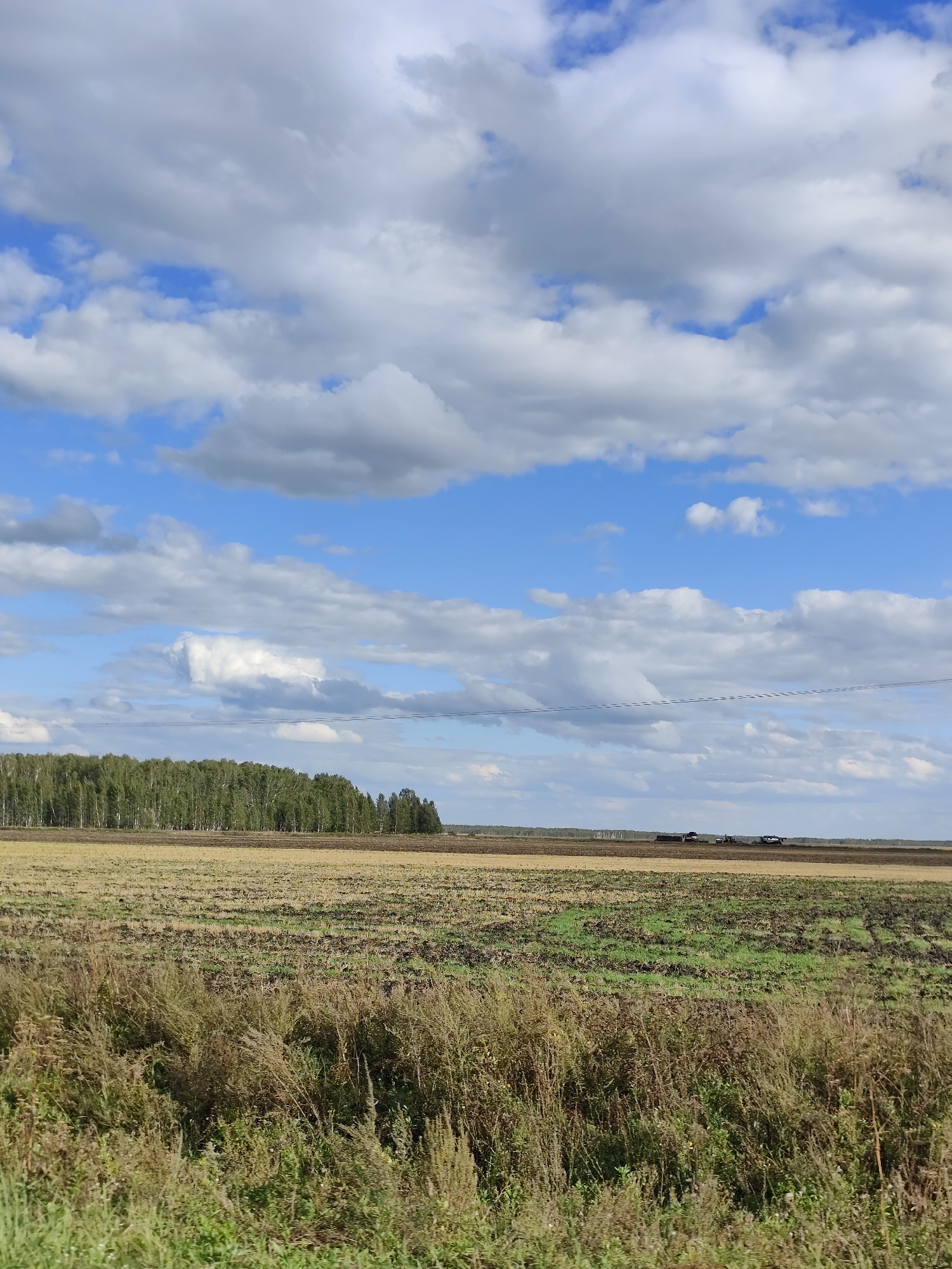 A wide-angle, eye-level shot captures a rural landscape under a partly cloudy sky. In the foreground, tall, dry grass and green vegetation dominate the bottom edge. Beyond this, a large, open field stretches towards a distant treeline. The field appears to be agricultural land, with areas of tilled soil and patches of stubble or dried vegetation. Several dark agricultural machines, possibly tractors and trailers, are visible in the far distance, suggesting ongoing farming activity. A line of trees forms a dense, dark green border along the horizon, with some lighter-colored trees mixed in. The sky is a vibrant blue, punctuated by numerous large, puffy white clouds interspersed with smaller ones. A thin, dark line, likely power lines, traverses the upper portion of the image horizontally. The overall scene depicts a vast, open agricultural area on a clear day with dramatic cloud formations.