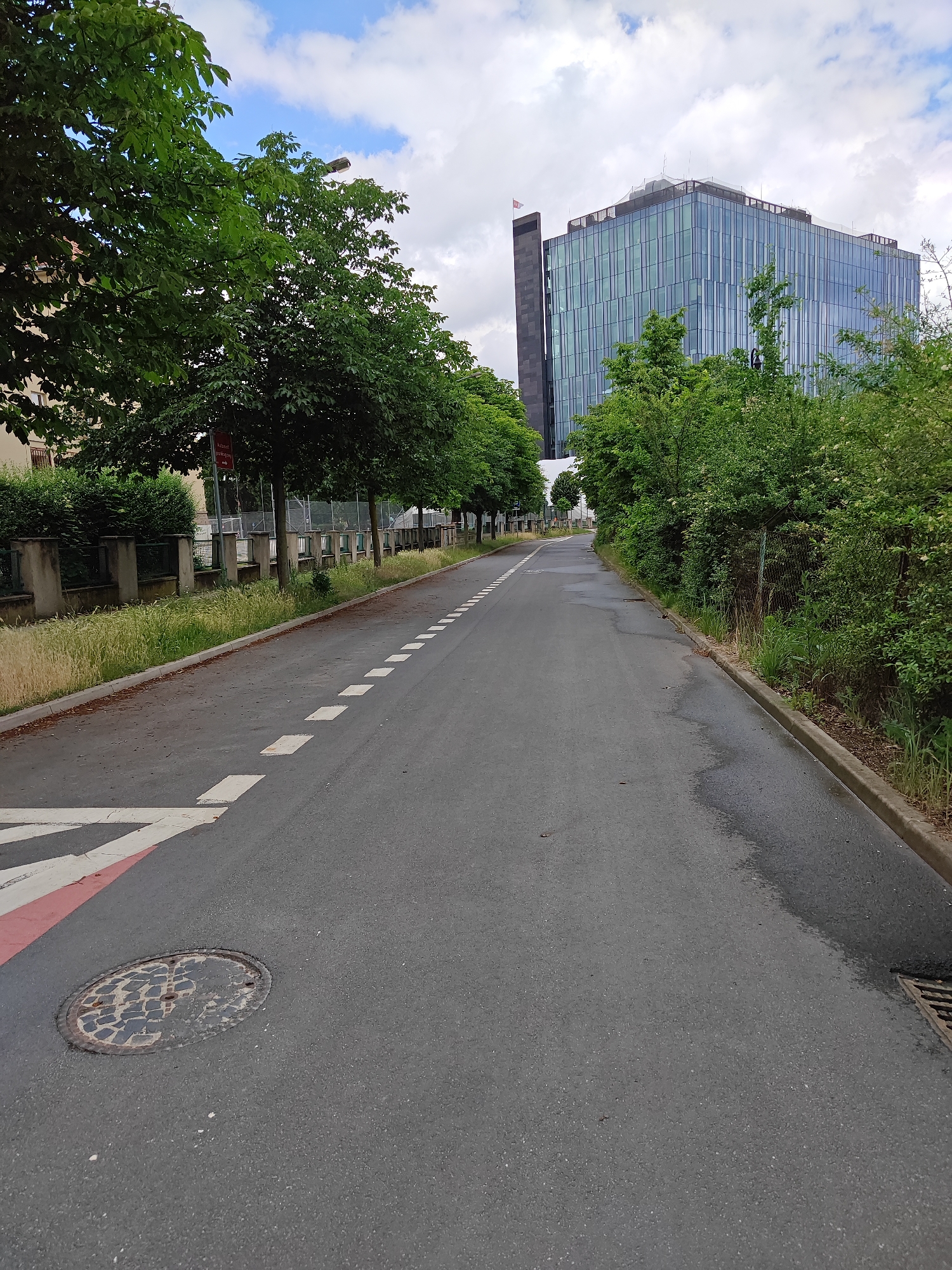 A street view in an urban environment shows a wet asphalt road with dashed white lines marking the lanes. On the left side of the road, there is a pedestrian crossing marked with red and white lines. A manhole cover is visible on the road. Trees line the left side of the road, with a fence and building in the background. On the right side of the road, there is dense vegetation and a storm drain. In the distance, a modern glass skyscraper with a dark vertical structure on its left is visible. The sky is cloudy.