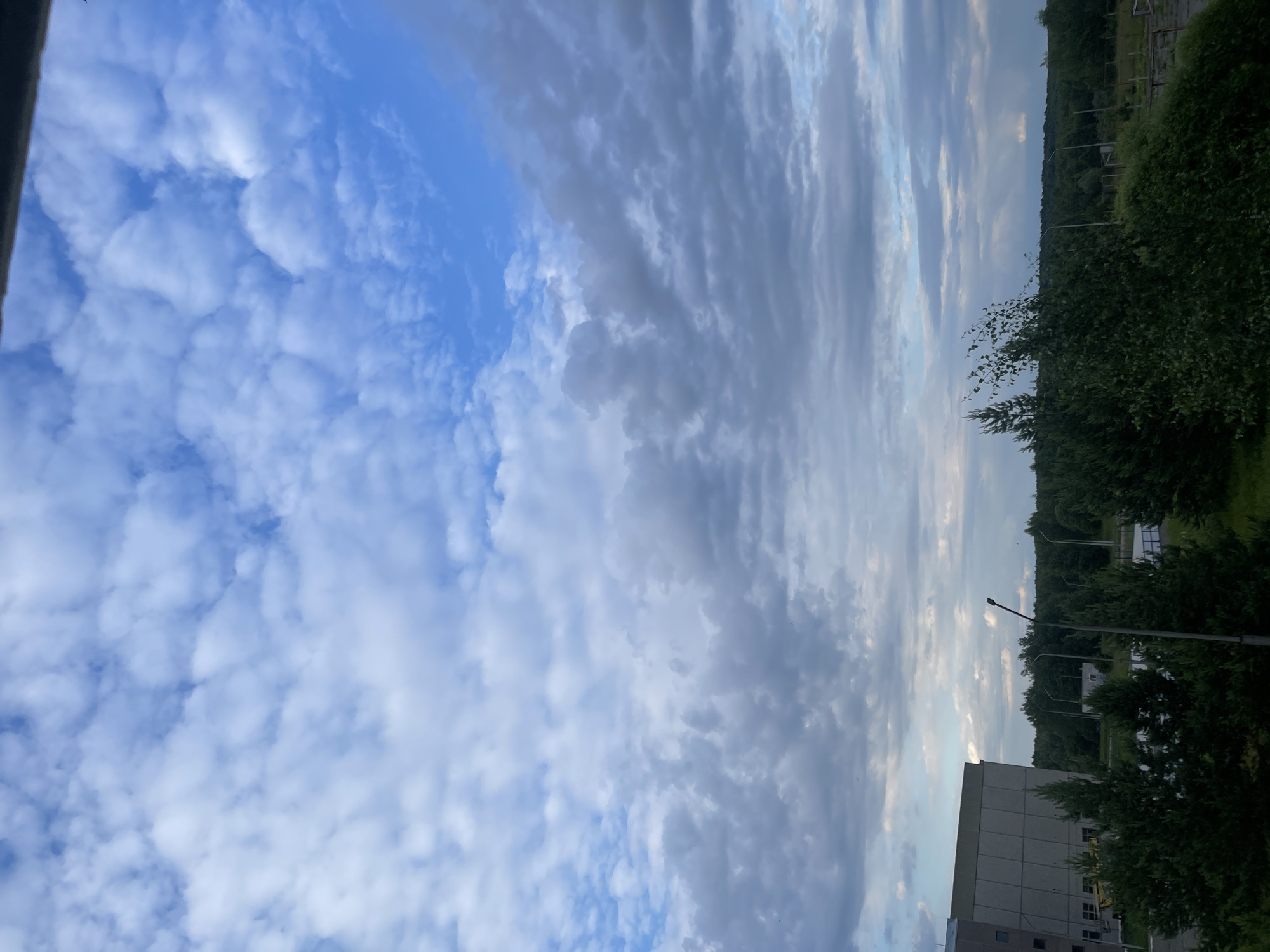 The image captures a wide view of a cloudy sky over a semi-urban or industrial landscape. In the foreground, lush green trees and foliage are prominent. A large, imposing grey building with a textured facade is visible on the left side of the frame. In the mid-ground, a line of trees stretches across the horizon, punctuated by several tall, slender streetlights. The sky is filled with a variety of clouds, ranging from wispy white formations to darker, more ominous grey masses, suggesting dynamic weather conditions. The overall impression is one of a slightly overcast day, possibly late afternoon or early evening, in a location like Марковский, Russia, characterized by industrial structures and extensive greenery. There are no people or animals visible in the image, and no explicit actions are depicted.