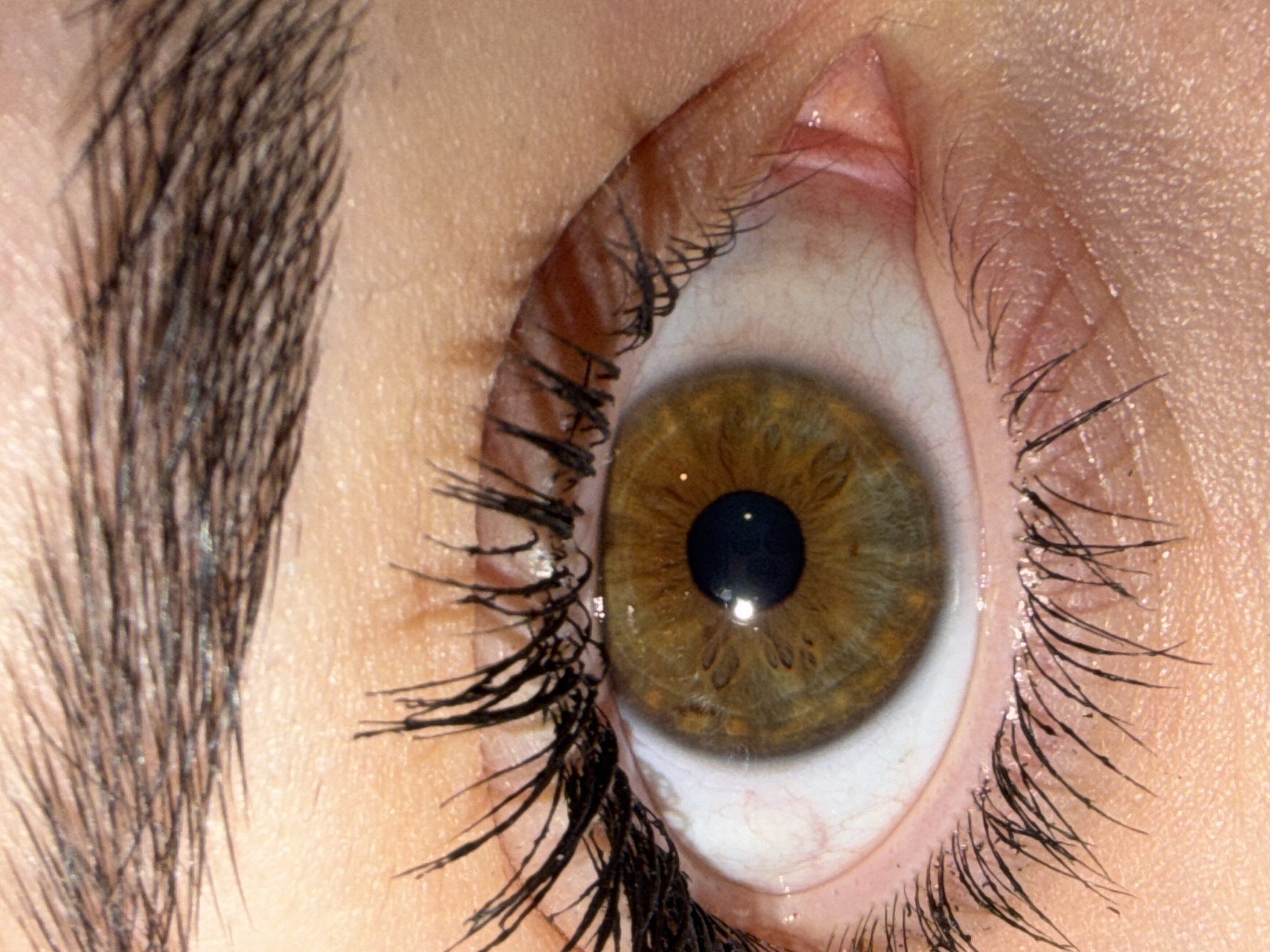 A close-up view of a human eye. The iris is hazel colored, with a dark pupil. The eyelashes are dark and prominent. Part of an eyebrow is visible on the left side of the frame. No specific location is discernible from the image. The information about Buhovo, Bulgaria is not relevant.