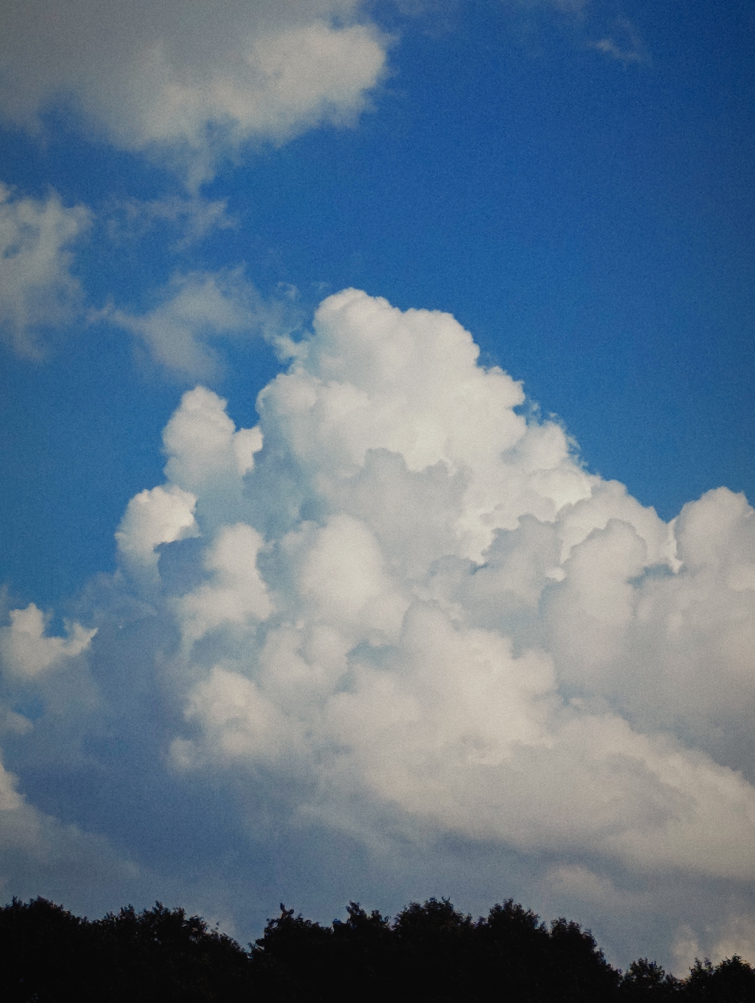 A dramatic low-angle shot captures a dense, towering cumulonimbus cloud dominating a vibrant blue sky. The cloud formation is voluminous and textured, with bright white highlights suggesting intense sunlight and darker shadowed areas indicating depth. Small, wispy clouds are scattered in the upper portion of the frame, also against the clear blue expanse. The lower edge of the image is obscured by the silhouetted dark green foliage of a tree line, suggesting a natural landscape rather than an urban one. The overall impression is one of a powerful and expansive sky.