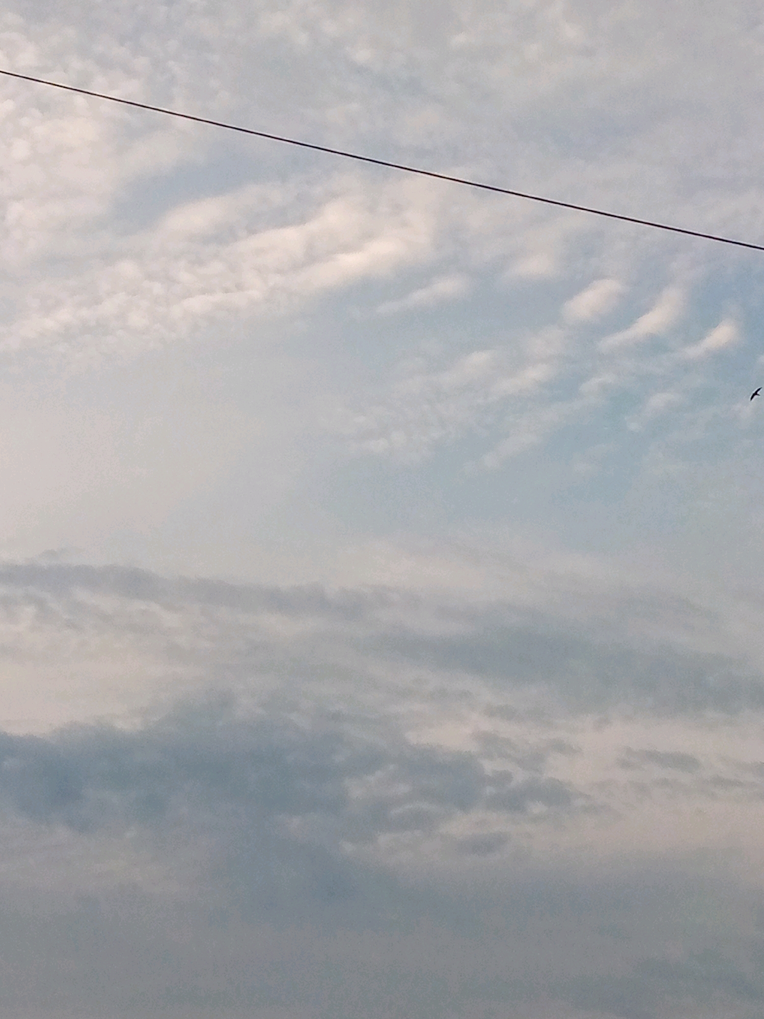The image shows a cloudy sky with a thin, dark line stretching diagonally across the frame from the upper left to the middle right. There is a small, dark bird in flight in the upper right portion of the image. The clouds are a mix of white and gray, with some appearing wispy and others more dense. The lower half of the image is dominated by larger, grayer clouds. The scene is likely outdoors, with no visible signs of the city of Kutaglumpang, Indonesia.