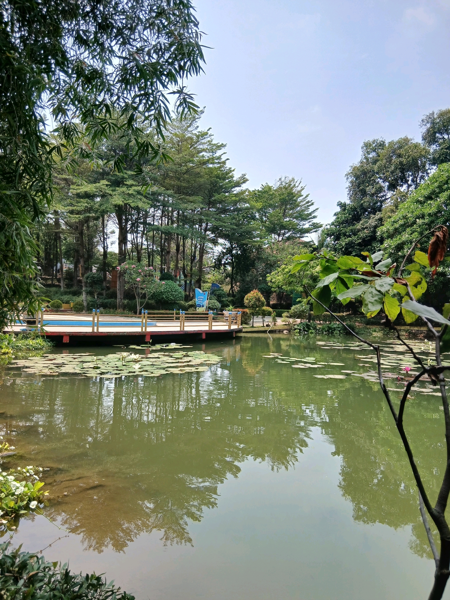 The image depicts a tranquil park setting in Depok, Indonesia. A wooden deck with railings, painted in red and yellow, extends over a pond filled with lily pads and white water lilies. A blue swimming pool is visible on the deck. The pond's surface reflects the surrounding trees, which include tall conifers and lush green foliage. In the background, a row of trees forms a dense forest, and a sign with Indonesian text is posted on the deck. The sky is clear and pale blue, with some scattered clouds. The overall scene is one of natural beauty and serenity, with the park appearing to be well-maintained.