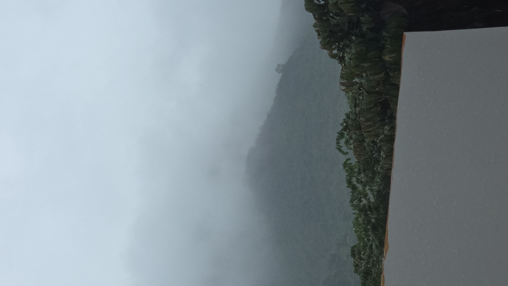 The image presents a landscape view from what appears to be a high vantage point, possibly a balcony or window, within or near the city of Bac Nha Trang Ward, Vietnam. The dominant feature is a densely vegetated mountain range enveloped in heavy fog or mist. The foliage appears to be lush and vibrant, clinging to the steep slopes of the mountain. The fog obscures the details of the landscape, creating a soft, ethereal atmosphere. To the right of the frame, a portion of a white structure (likely a building) is visible, indicating the presence of urban development in proximity to the natural environment. The overall impression is one of a humid, overcast day in a tropical or subtropical region where nature and urban life coexist. No people are directly visible in the image.