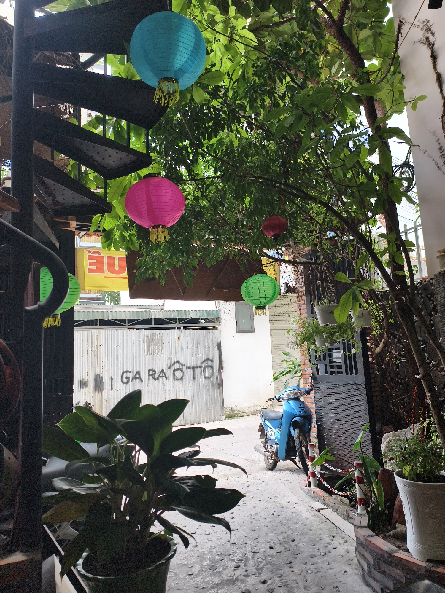 This photograph presents a narrow outdoor pathway or alleyway, rich with greenery and vibrant decorations, located in Bac Nha Trang Ward, Vietnam. The scene is captured during daylight hours under fair weather conditions, illuminated by bright, natural light.
Numerous leafy trees with substantial trunks dominate the upper and central portions of the image, their branches extending over the pathway. Adorning these branches are several colorful paper lanterns in shades of blue, pink, green, and red, adding a festive and welcoming touch to the environment.
On the left side, a black spiral metal staircase ascends, providing a structural contrast to the organic forms of the plants. Various potted plants, some hanging in baskets, are strategically placed throughout the scene, contributing to the lush, green aesthetic. A light blue scooter-style motorbike, a prevalent mode of transportation in Vietnam, is parked on the right side of the pathway.
In the background, a corrugated metal roll-up door or gate is visible, upon which the words "GARA Ô TÔ" (meaning "CAR GARAGE" in Vietnamese) are spray-painted in black. Above this, a partially obscured yellow banner shows inverted red text, with "EU" discernible. The ground is a paved pathway, appearing to be a mix of concrete and embedded pebbles. The blend of local transport, decorative lanterns, and Vietnamese text firmly establishes the location as Vietnam. The overall impression is one of a tranquil, charming local passage.