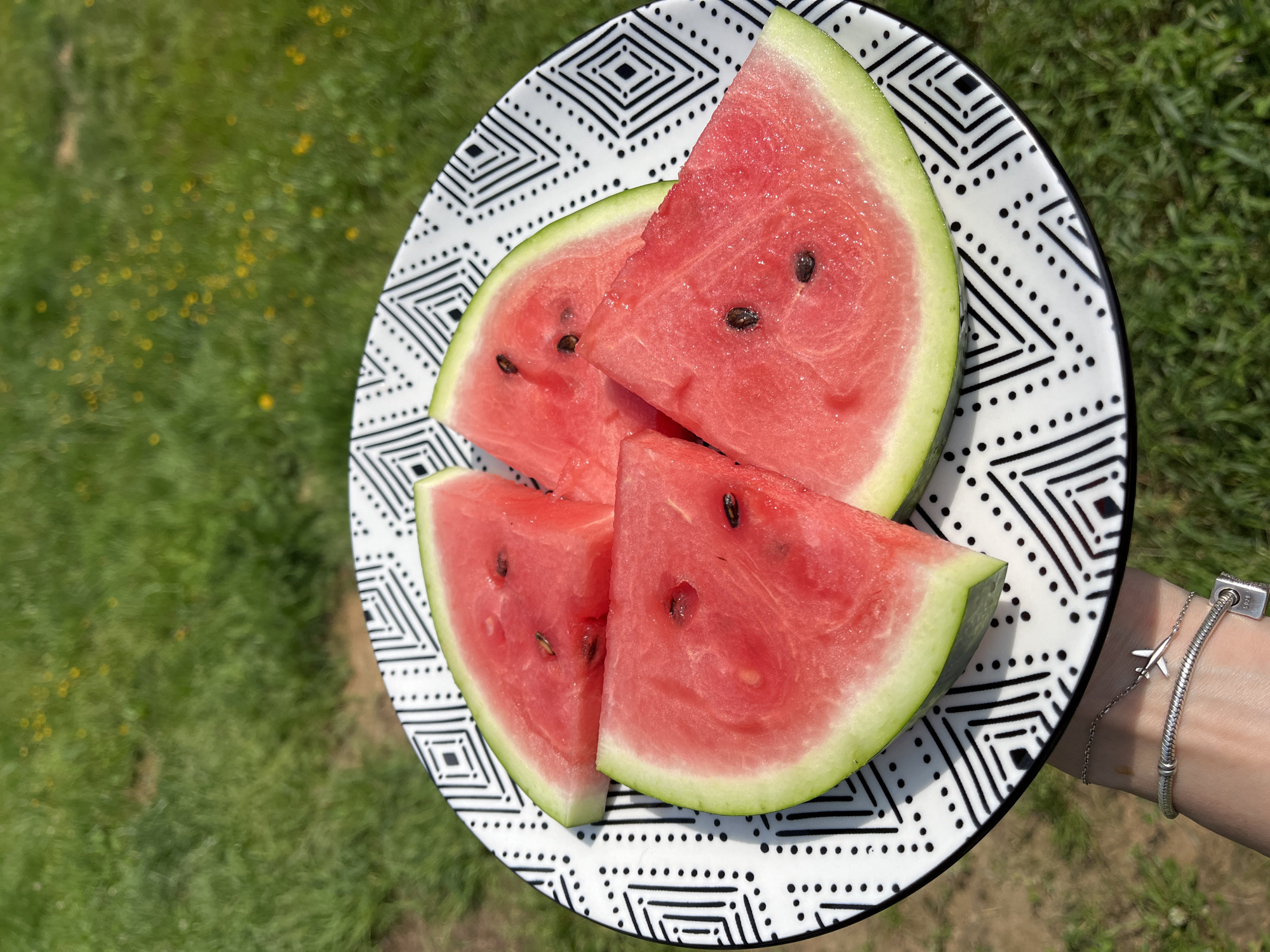 A person's left hand is holding a white plate with a black geometric pattern, on which are four triangular slices of watermelon. The watermelon slices are bright red with dark seeds and a light green rind. The plate is positioned in front of a blurred background of green grass with some small yellow flowers. The person is wearing a silver bracelet with a small airplane charm and another bracelet with a cylindrical bead. The scene is outdoors in daylight. The location is not visible or determinable from the image.
