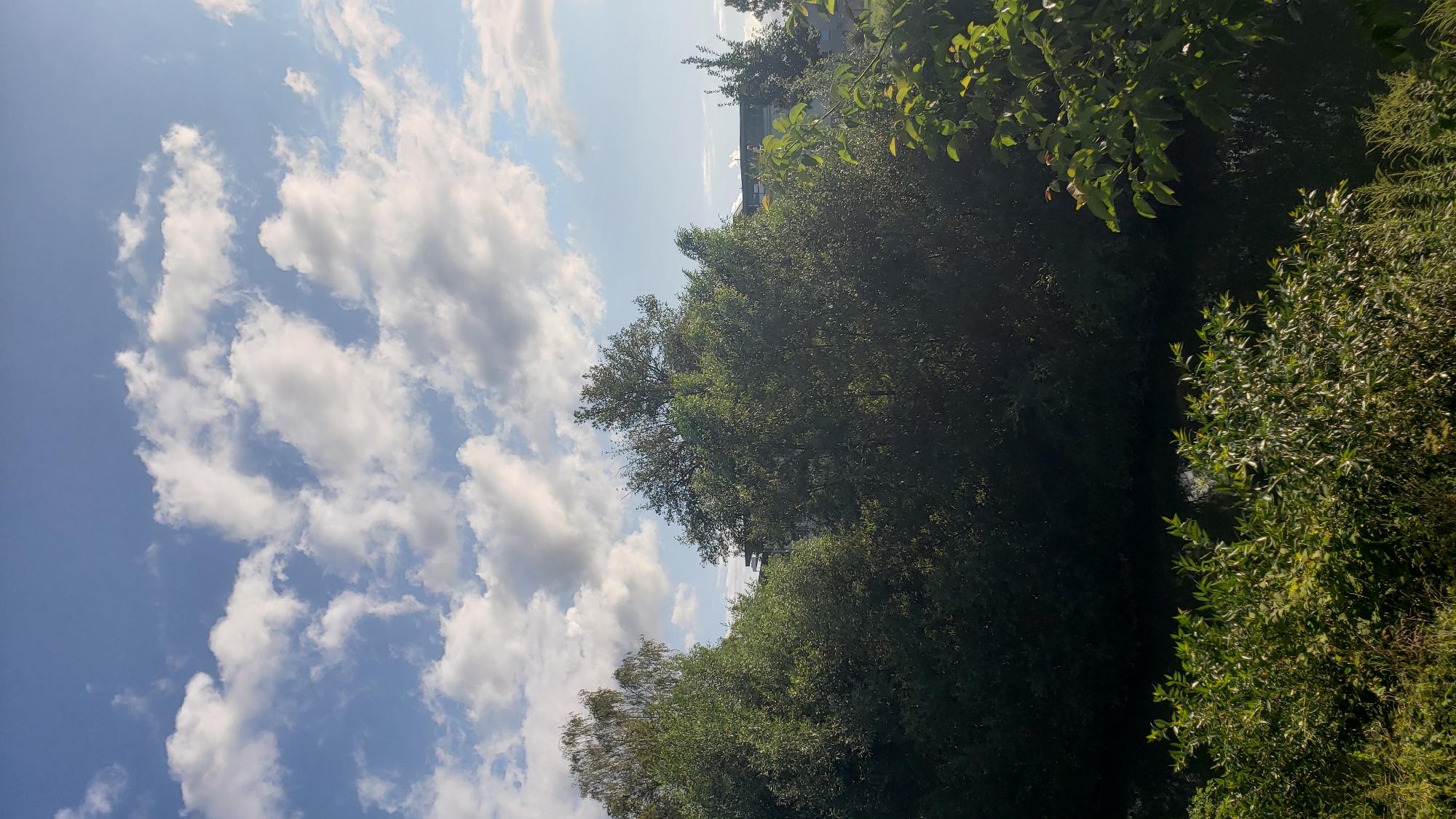 The image displays a serene natural scene with a clear blue sky dotted with fluffy white clouds. Lush green trees dominate the mid-ground and foreground, with a calm body of water visible at the bottom. Buildings are partially visible through the trees in the background. The overall impression is one of a peaceful, sunlit day in an outdoor setting. Without further information or visual cues, it is impossible to pinpoint the exact location within the city of Prešov, Slovakia.