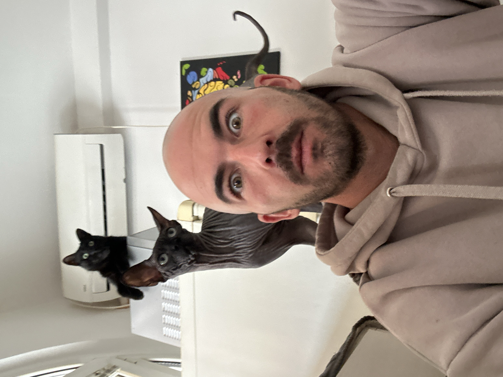 A selfie captured indoors features a man with a shaved head and beard, wearing a light tan hoodie. His face is centered in the frame, and he looks directly at the camera. Behind him and to the left, two cats are visible. One is a hairless cat, possibly a Sphynx, and the other is a black cat. They are situated near what appears to be an air conditioning unit mounted on a wall. Above the man's head and slightly to the left, a framed painting or print with colorful abstract shapes is visible. The overall environment appears to be a domestic interior. There is no indication of Budva, Montenegro in the image.