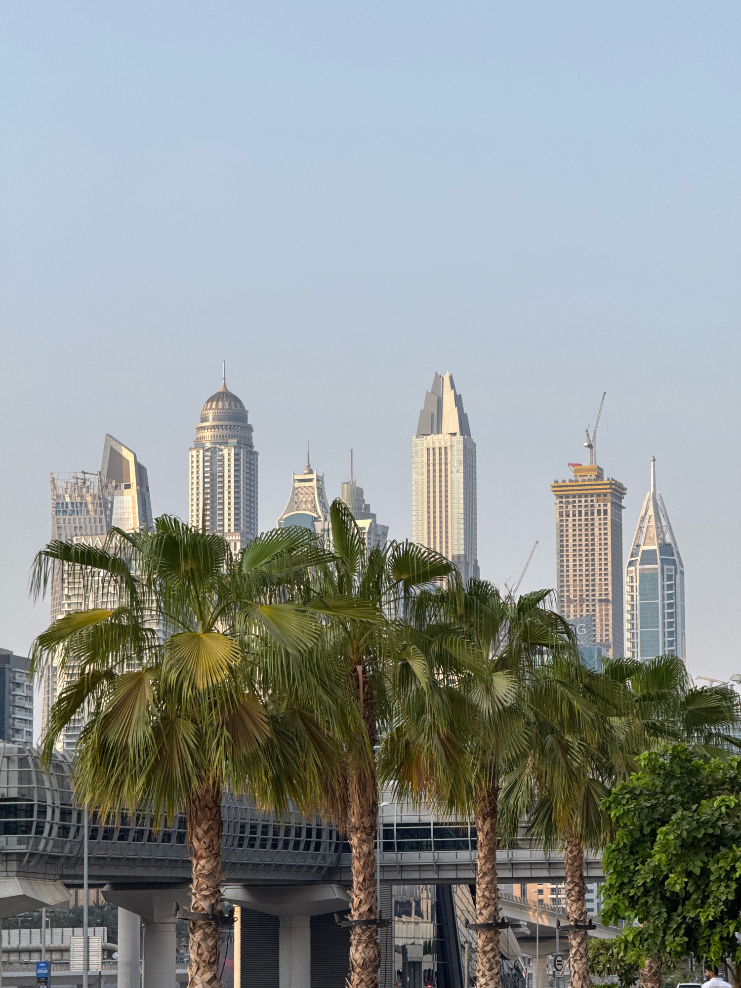 The image captures a city skyline in Dubai, United Arab Emirates, with a row of palm trees in the foreground. The palm trees, with their fronds extending across the lower half of the frame, create a tropical foreground element against the urban backdrop. Behind the trees, a line of modern skyscrapers rises, showcasing diverse architectural designs. These buildings vary in height and style, with some featuring pointed roofs, sleek glass facades, and visible construction cranes, suggesting ongoing development. The sky above is a clear, pale blue, indicating daylight and possibly a hazy or overcast condition. At the bottom of the image, elevated infrastructure, likely part of a transportation system like a metro line, is visible, with concrete supports and a curved structure. A small portion of lush green trees is visible on the right side, adding another natural element to the scene. The overall impression is a juxtaposition of natural elements with a futuristic, high-rise urban environment, characteristic of Dubai's landscape.