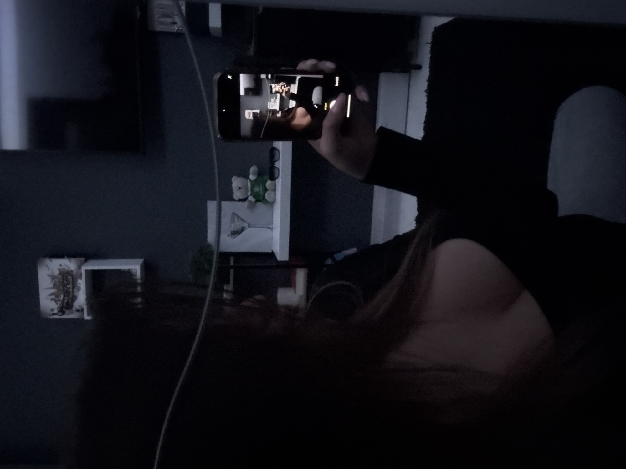 A person is holding a cell phone, taking a photo of a room. The room contains a TV, shelves with decorative objects including a teddy bear wearing sunglasses and a small plant, and a piece of framed artwork. The location is not discernible from the image. The person is wearing a dark long-sleeved garment.