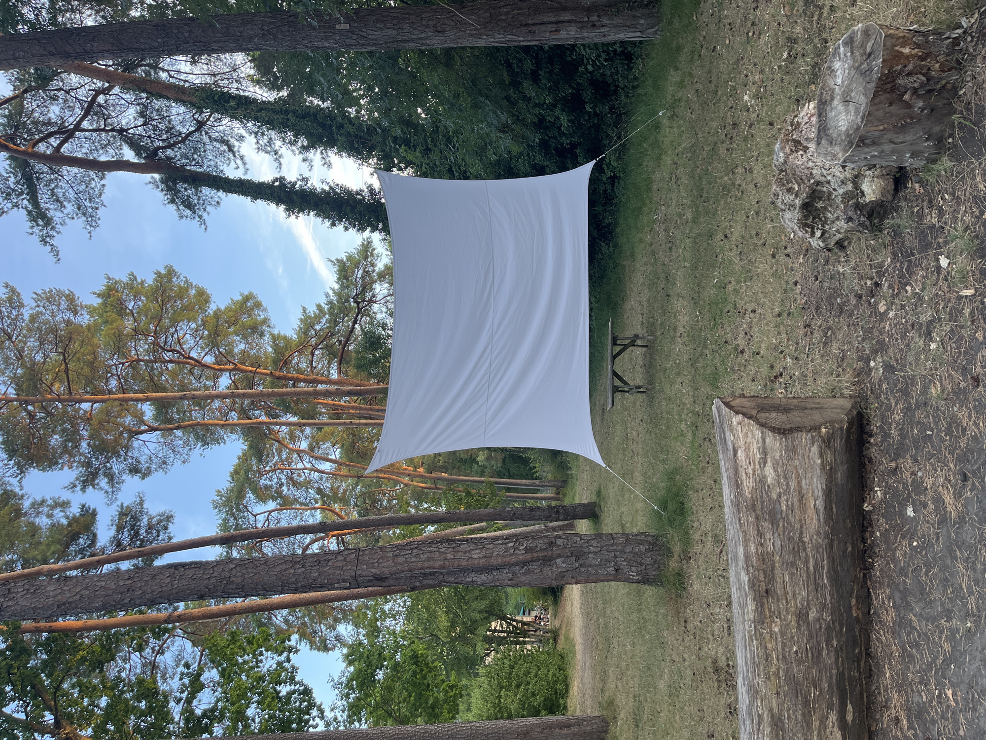 A white projection screen is set up in a wooded area in Sonchamp, France, between tall pine trees. The screen is rectangular and appears to be made of fabric, suspended by thin ropes attached to poles or trees. In front of the screen, a small, simple wooden picnic table is visible. The ground is covered with dry grass and pine needles. To the left of the screen, a large, fallen tree trunk lies horizontally. In the background, lush green foliage and trees create a dense forest environment. The sky above is a clear blue with a few wispy clouds. The overall scene suggests an outdoor cinema or gathering space in a natural setting.