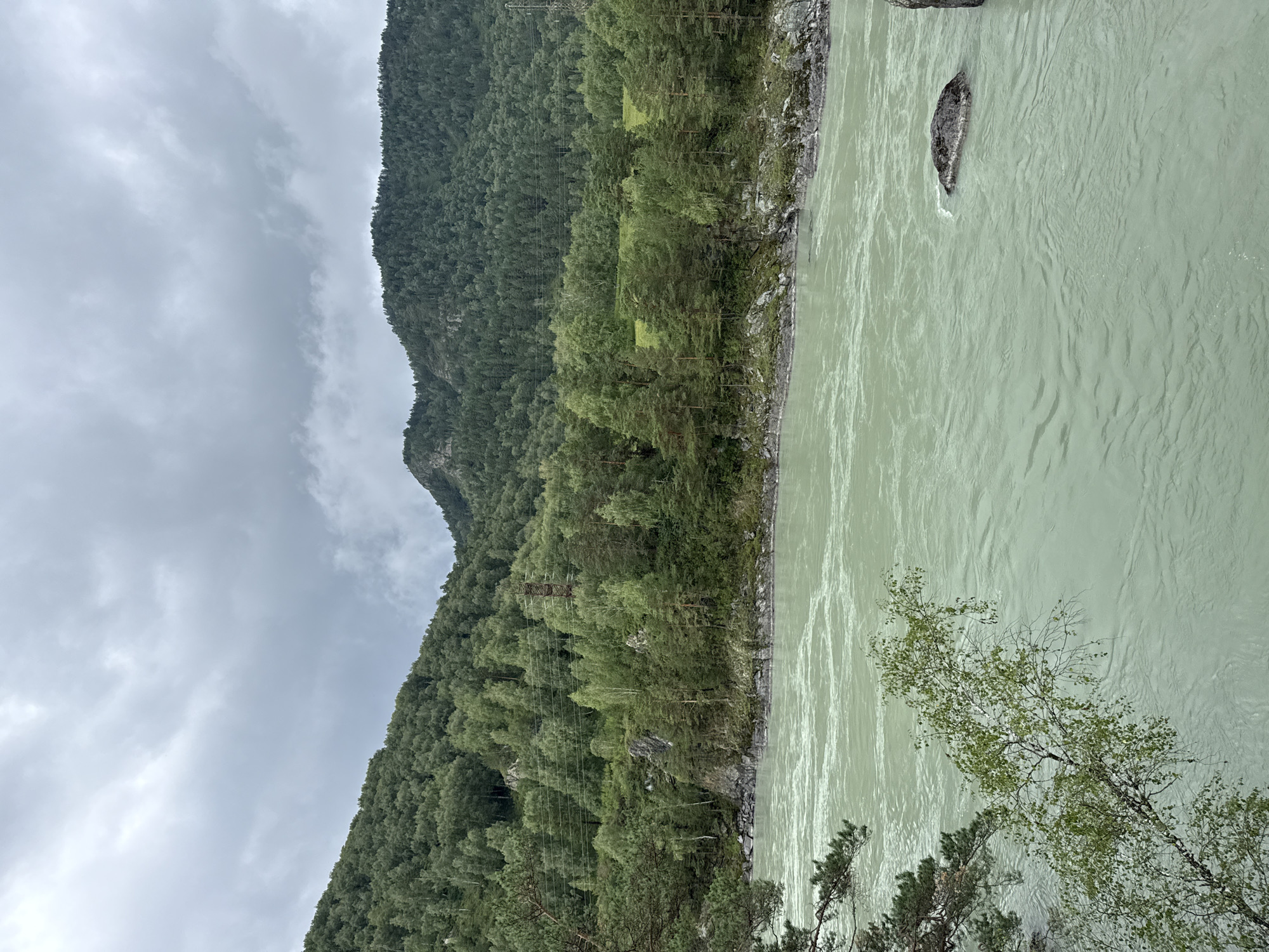 The image depicts a wide, fast-flowing river with greenish-blue water, likely the Katun River, in Chemal, Russia. The riverbanks are rocky and densely forested with a mix of coniferous and deciduous trees. The forested slopes rise steeply, culminating in mountain peaks visible in the background under a cloudy sky. A large dark rock is partially submerged in the river, creating a ripple effect around it. In the mid-ground, a few trees hang over the riverbank on the left side of the frame. A power line pylon is visible on the far right, partially obscured by trees. The overall scene is a natural landscape characterized by rugged terrain and dense vegetation.