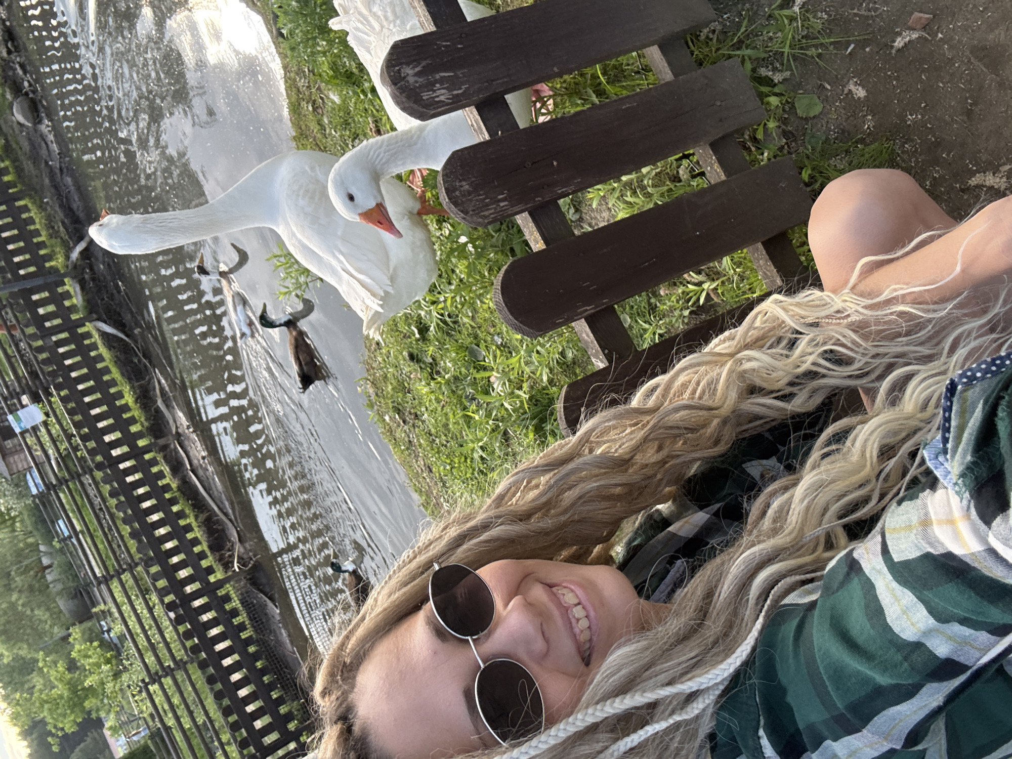 A selfie of a smiling person with light-colored braided hair, wearing round sunglasses and a green and black plaid shirt, is taken at an outdoor location in Шебунино, Russia. The person is seated on a dark brown wooden bench near a body of water. Two white geese are positioned near the bench, with one extending its neck towards the water. Other ducks are visible in the water. A dark wooden fence separates the bench area from the water. Green grass and vegetation are also visible. The light suggests the photo was taken during the day.