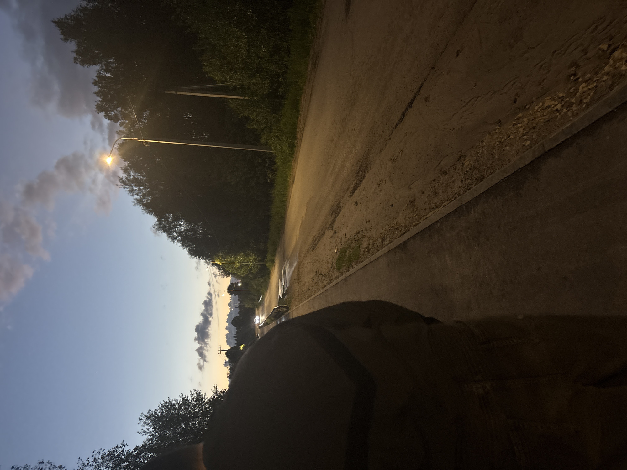 The image, captured at dusk or early night, displays a scene along a rural or semi-urban road. In the immediate foreground, a dark, indistinct shape, likely the shoulder and upper arm of a person, occupies the lower left portion of the frame, suggesting a first-person perspective.
The scene centers on an unpaved road or dirt path that runs diagonally from the mid-right into the distance, bordered by a narrow, darker paved strip or curb. To the left of the path, a dense line of trees and bushes forms a dark, lush barrier. A single streetlamp, emitting a bright, warm glow, stands prominently among these trees on the left, illuminating its immediate surroundings.
The sky above transitions from a light blue on the far left to a darker, cloudy grey on the right, with several visible clouds suggesting an overcast evening. In the far distance along the road, faint lights, possibly from vehicles or distant structures, can be seen. The overall lighting is dim, relying on the artificial glow of the streetlamp and the last vestiges of twilight. The ground appears somewhat uneven and textured. No explicit activity is visible, and there is no discernible text in the image.