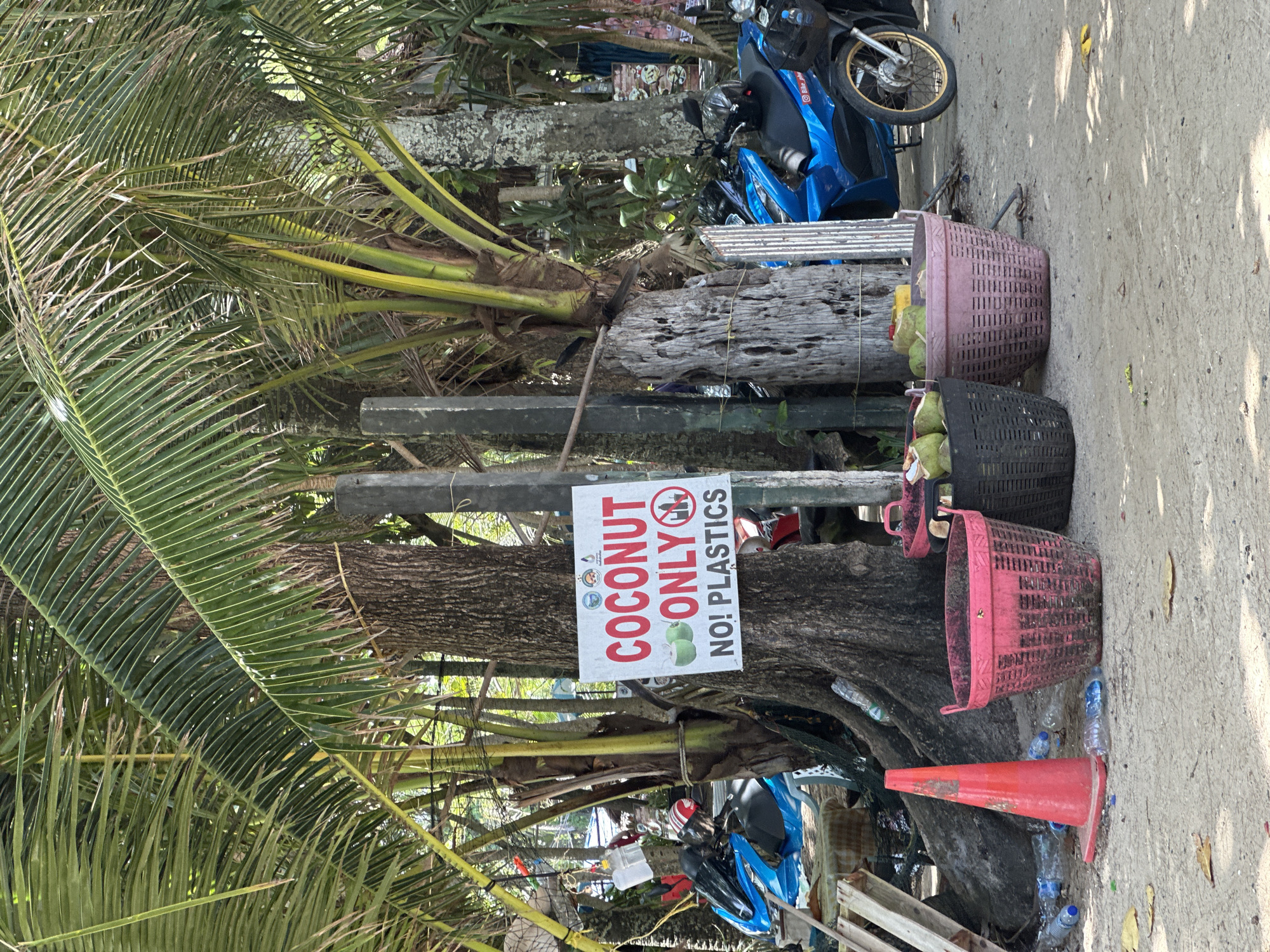 In Rawai, Thailand, a sign on a tree reads "COCONUT ONLY NO! PLASTICS," accompanied by images of coconuts and a crossed-out plastic bottle and bag. In front of the tree, several coconuts are contained in large woven baskets, one pink and one black. A bright orange traffic cone stands nearby, and several plastic water bottles are scattered on the sandy ground around it. Behind the baskets, two blue motorcycles are parked, one with a black helmet on its seat. Palm trees and other vegetation dominate the background, suggesting a tropical environment.