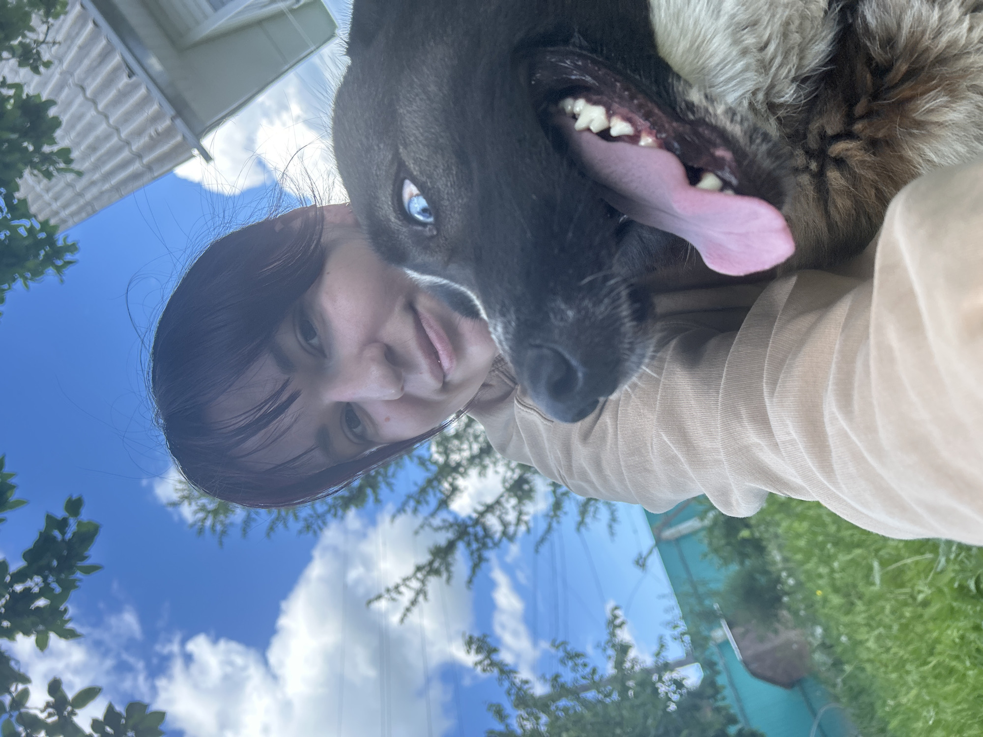 This image is a close-up outdoor selfie taken in Фоки, Russia, featuring a young adult female and a dog. The female, with dark hair and bangs, occupies the upper left-center, smiling faintly and wearing a light-colored, long-sleeved top. A large, dark-furred dog with some lighter fur around its snout is positioned to the right, its head angled towards the camera. The dog has a wide-open mouth with a prominent pink tongue extended and visible white teeth, and a wide, light blue eye, conveying a playful or surprised expression. The background features a bright blue sky with scattered white cumulus clouds. Green foliage from trees or bushes is visible in the upper left, upper right, and lower left. A section of a residential building with a gray, ridged roof is present in the upper right. In the middle to lower left, a teal-colored fence or wall is discernible, with additional green vegetation behind it. Faint power lines run across the mid-left sky, and green grass is visible in the lower left foreground.
