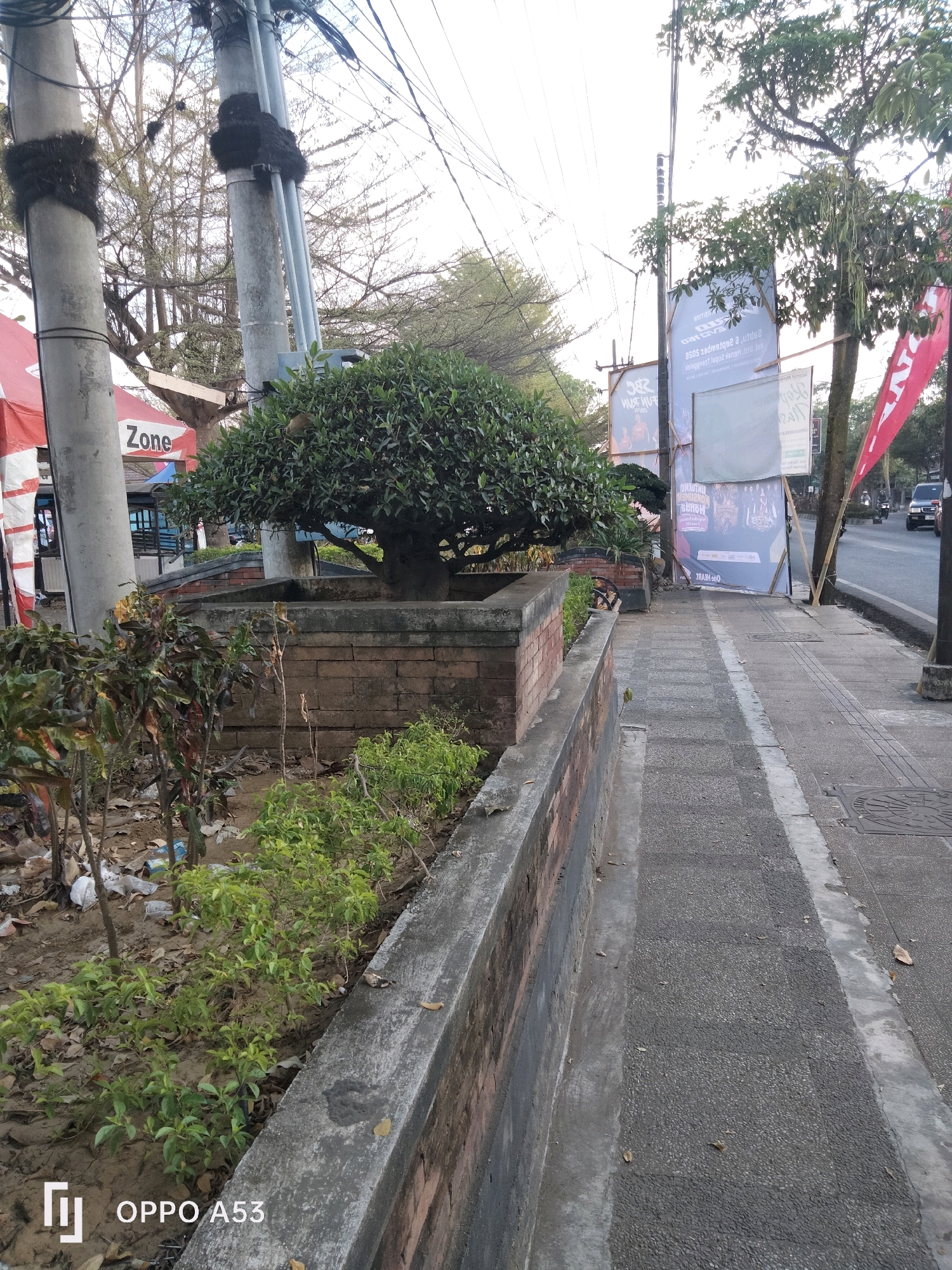 The image depicts a street scene in Kelutan, Indonesia. In the foreground, a brick planter box contains a large, leafy tree, likely a bonsai, surrounded by smaller plants and some debris on the ground. A concrete sidewalk runs alongside the planter, and further down the street, a road with moving vehicles is visible. Several utility poles with wires overhead are present, and large posters are propped up against a tree. A red and white tent or banner is partially visible on the left side of the frame, with the word "Zone" printed on it. The overall impression is of an urban environment with a mix of natural and man-made elements.