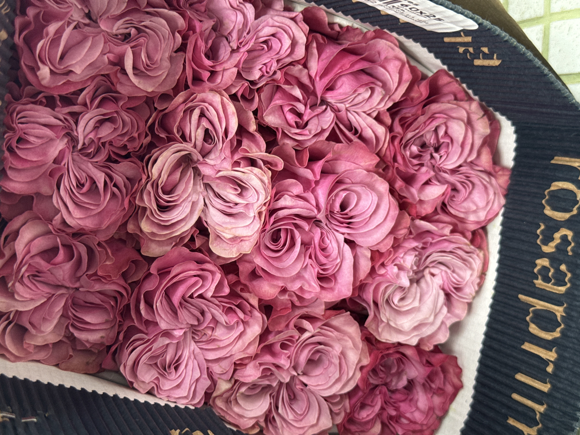 The image displays a close-up, high-angle view of numerous muted pink and purplish-pink roses densely packed into a box. The roses feature multiple layers of tightly wound, ruffled petals, giving them a full, luxurious appearance. Their color varies slightly, with some petals appearing lighter pink or almost lavender, and others a deeper, dusty rose.
The roses are contained within a dark blue or black cardboard box with a corrugated edge, visible along the top and right sides of the frame. A white surface, likely part of the packaging or interior of the box, is visible beneath the roses on the left and bottom, and at the top left corner of the box opening.
Visible text includes a partially obscured white label on the top edge of the box, showing characters like "es", "60X25", and possibly "32". Along the dark blue corrugated side of the box, golden-colored text is partially visible. The word "rosaprima" is clearly legible, with the "rima" portion particularly distinct in the lower right corner, indicating a brand name. No specific activity is taking place; the image captures a still arrangement of flowers, possibly awaiting transport or display. The lighting appears soft and even, highlighting the texture and delicate colors of the petals.