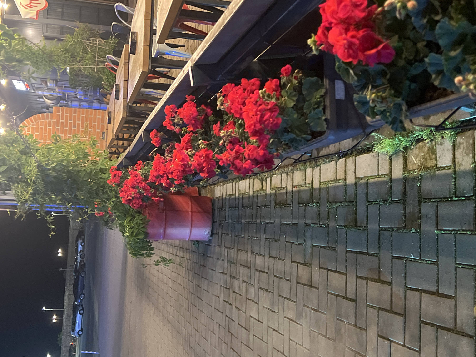 The media file captures an outdoor dining area adjacent to a paved pedestrian walkway during the evening or night in Varna, Bulgaria. The scene is dominated by a row of vibrant red flowers, likely geraniums, spilling from long black planter boxes that line an elevated platform featuring wooden tables and stackable chairs. Further down the path, another large red barrel-shaped planter also holds red flowers and green foliage.
The ground is a herringbone pattern of grey interlocking brick pavers, which show signs of moss or weeds in their crevices, particularly where shadows are cast by artificial lighting. String lights are visible hanging above the outdoor seating, contributing to the warm ambiance. In the distance, streetlights illuminate a dark street where several cars are parked in a row.
To the right of the dining area, a building with an exposed brick archway is partially visible, with additional green plants and bushes enhancing the decor. The sky is dark, indicating it is nighttime, and the scene is lit by various artificial light sources. No people are visible, and no specific activity is taking place, but the setup clearly indicates a public leisure or dining space. A red and white sign is partially visible in the background, but any text on it is illegible due to blur and perspective.