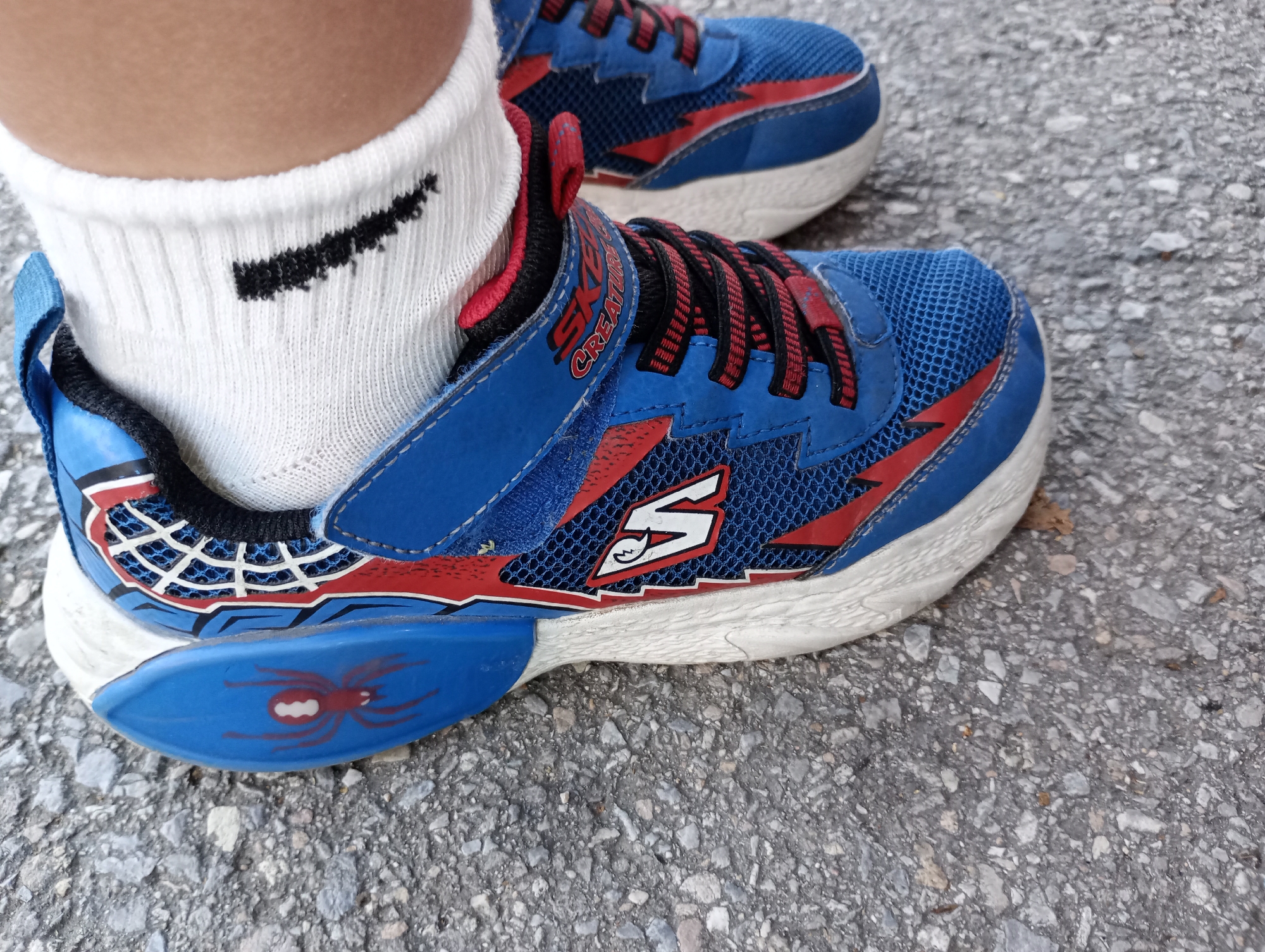 A close-up, eye-level outdoor shot shows a person's feet wearing white socks and blue and red Skechers sneakers. The sneakers have a spiderweb design on the side and a spider graphic on the sole. The shoes are on a paved surface, likely a sidewalk or road, which appears to be in Harmanli, Bulgaria. The lighting is natural and bright, suggesting it is daytime. The background is out of focus, with only the textured pavement visible.