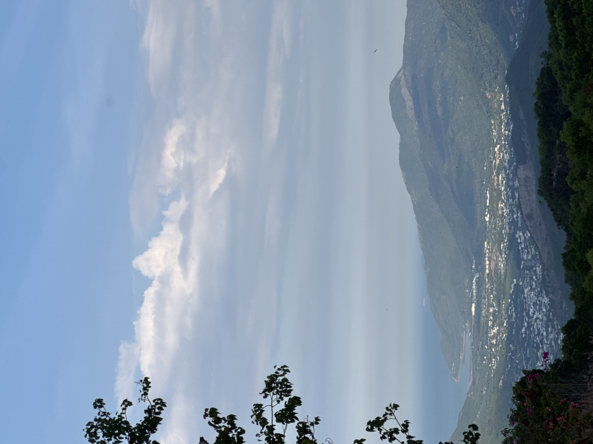 The image depicts a wide, high-angle view of a coastal city nestled between lush green mountains and the sea, likely in Nam Nha Trang Ward, Vietnam. In the foreground, the dark silhouette of a leafy tree branch with dark leaves extends from the left side of the frame downwards. The middle ground is dominated by a densely populated urban area with numerous white-roofed buildings, suggesting a city or town. This urban sprawl is situated within a valley, bordered by rolling, verdant mountains that recede into the background. The mountains appear covered in dense vegetation.
Beyond the mountains, a calm, blue sea stretches towards the horizon. The water is a deep blue, and a thin strip of land or another island is visible in the far distance. The sky above is a pale blue, partly obscured by soft, white clouds. A few small birds are visible as specks in the sky, and one larger bird is in flight over the mountains in the upper right quadrant. The overall lighting suggests it is either early morning or late afternoon, with a soft, diffused light casting shadows and highlighting parts of the landscape. The image captures a scenic panorama of urban life integrated with a natural, mountainous coastal environment.