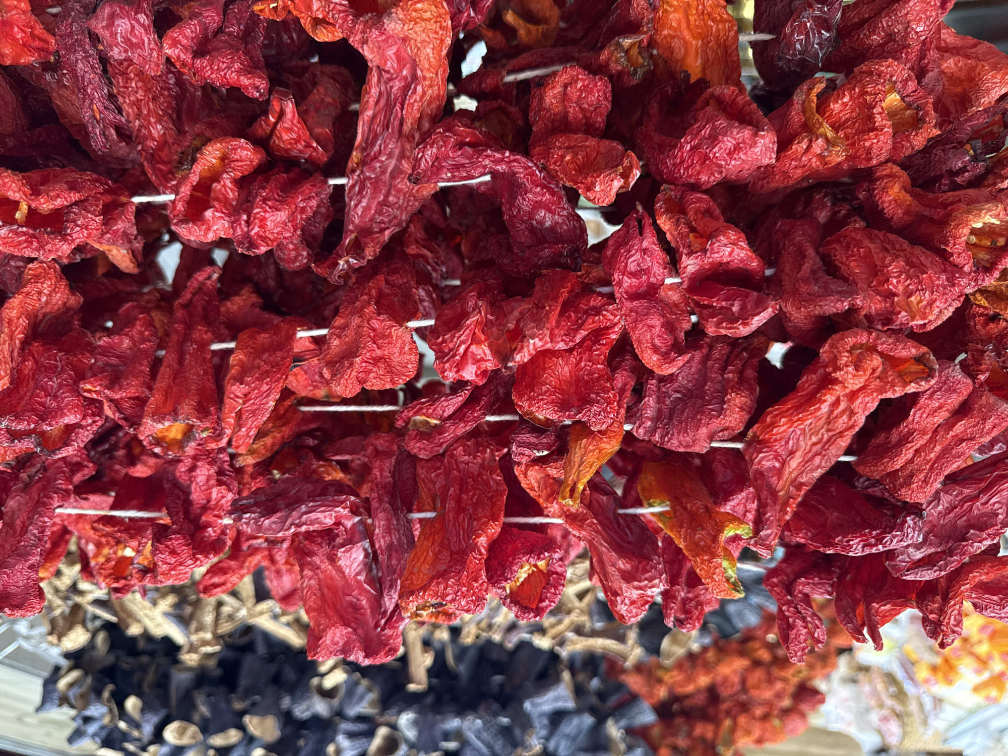 This image shows a close-up view of dried red peppers and what appear to be dried eggplants hanging in a market stall. The peppers are a vibrant red, wrinkled, and strung together on white twine. The eggplants, visible in the background on the left, are a darker, purplish-black color and also appear to be dried. The lighting suggests an outdoor or well-lit indoor market setting. The focus is on the produce itself, showcasing its texture and color. The scene is likely from a food market in Kadıköy, Istanbul, Turkey, a district known for its vibrant bazaars and culinary offerings.