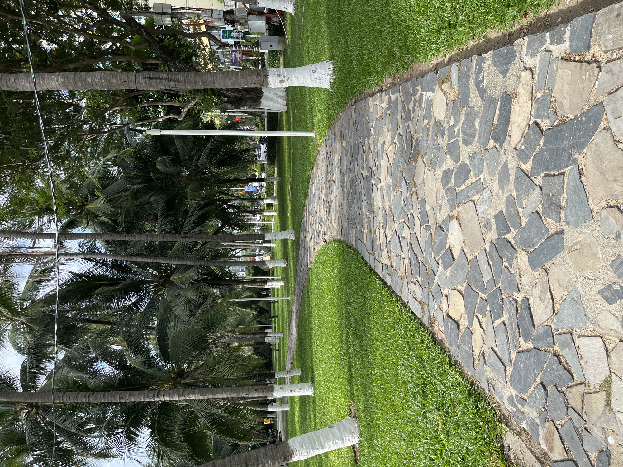The image depicts a curving stone pathway through a park-like setting. Lush green grass borders the pathway on both sides. Numerous palm trees with trunks painted white at the base are scattered throughout the area, creating a tropical atmosphere. In the background, more trees and buildings are visible, suggesting an urban environment. Several individuals are present, walking or standing, and a motorcycle is parked on the left. The scene appears to be an outdoor public space, possibly a garden or park within the city of Nha Trang, Vietnam, given the presence of palm trees and the overall aesthetic.