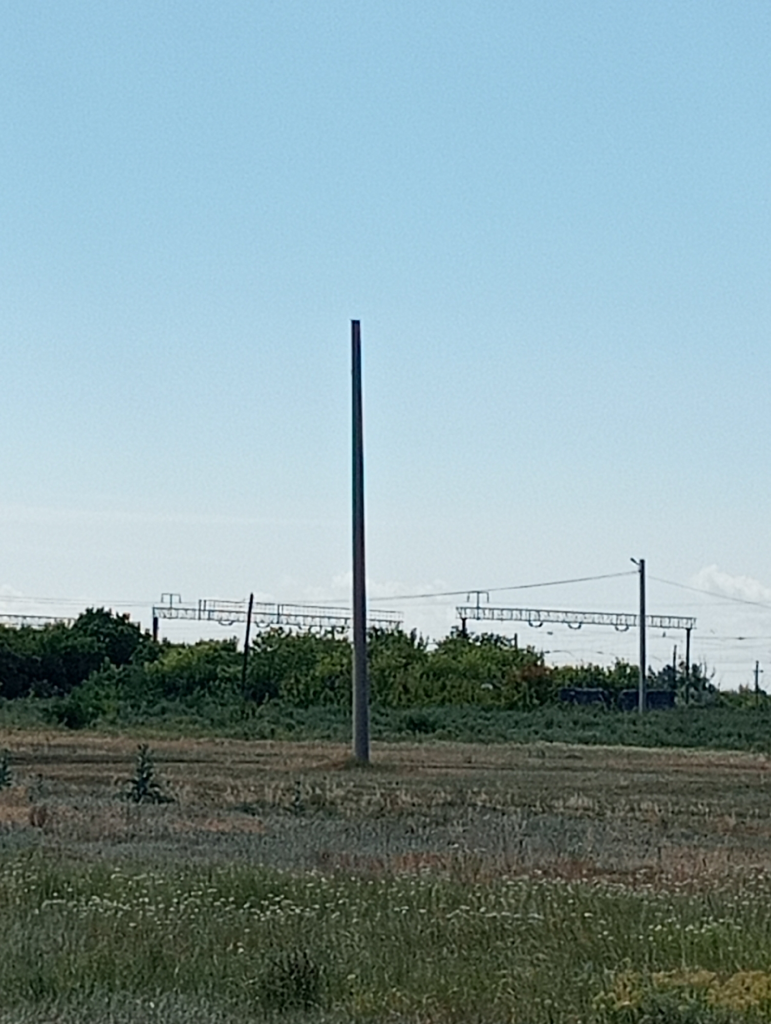 In an outdoor, rural scene under a clear blue sky, a tall, slender, grey pole stands prominently in the right foreground. The ground in front of the pole is covered with dry, yellowish-brown grass interspersed with small white wildflowers and taller green vegetation. In the middle ground, a dense line of lush green trees and bushes forms a natural barrier. Behind the trees, a series of overhead electrical wires are supported by metal poles and structures, suggesting the presence of a railway or industrial area. The background is dominated by the vast, pale blue sky, with a hint of white clouds on the far horizon. The overall impression is one of a natural landscape with man-made infrastructure integrated into it.