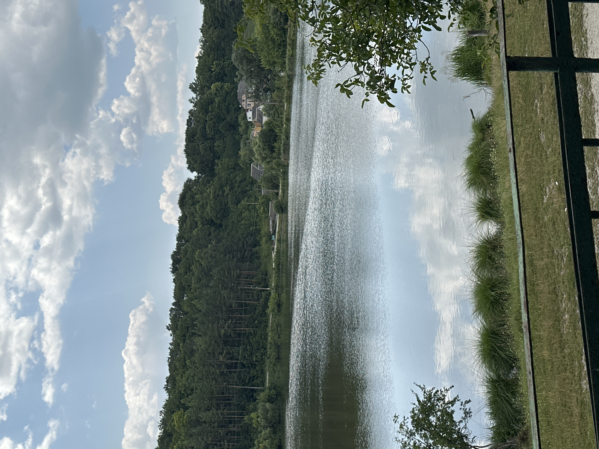 The image shows a wide shot of a lake in Makiv, Ukraine. The lake takes up the majority of the frame, with a dense forest lining the opposite shore. Several houses are visible nestled among the trees on the hillside. The sky above is partially cloudy, with white clouds scattered across a pale blue expanse. The water is calm, reflecting the sky and trees. In the foreground, a grassy area with thick reeds and some small wildflowers separates the lake from a dark green metal fence. A portion of a tree with green leaves is visible on the far left edge of the frame, and another branch with leaves hangs into the frame from the top right. The overall impression is a serene, natural landscape on a bright day.