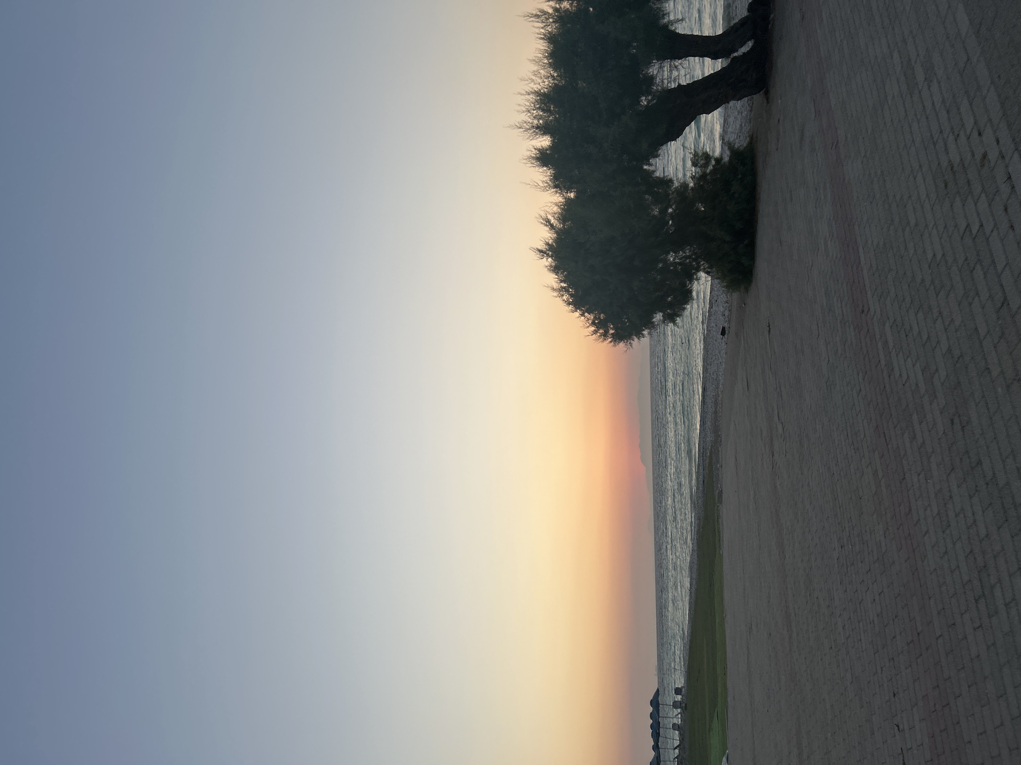 This is a vertical, outdoor, full shot of a beach scene at sunset. The sky transitions from a soft blue at the top to a warm orange and pink gradient near the horizon. A body of water, likely the sea, is visible on the right side of the image, with gentle waves. A paved walkway made of light-colored bricks runs parallel to the water.
Two trees with dark, textured trunks and bushy green foliage are prominent on the left side of the walkway, near the water's edge. The tree on the left has branches that arch over the walkway. A small patch of green grass is situated between the walkway and the beach. In the distance, along the shoreline, a few dark, low structures, possibly beach umbrellas or cabanas, are visible. The overall mood is serene and peaceful, suggesting a tranquil evening by the sea. The time of day is clearly sunset, indicated by the colors in the sky. The location context is Rhodes, Greece. No text is visible in the image.