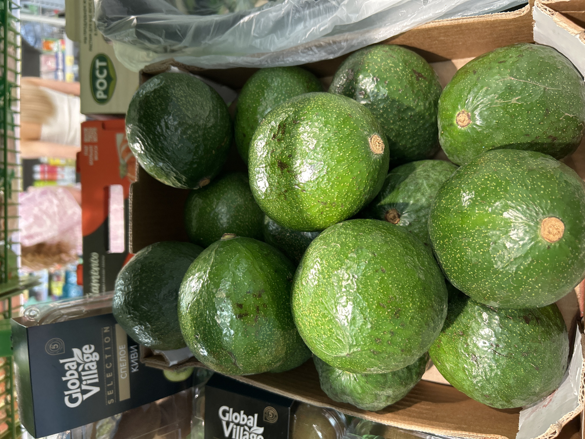 A close-up, eye-level shot shows a cardboard box filled with ripe green avocados. The avocados are round and have a slightly textured skin with small light-colored speckles. Some of the avocados have a visible stem end. The box is placed in what appears to be a grocery store aisle, with blurred shelves and products visible in the background. Some packaging, including a box labeled "Global Village SELECTION" and another with the word "POCT", are also visible in the upper portion of the image. The lighting suggests an indoor commercial setting. The specific location in Orenburg, Russia, cannot be determined from the image alone.