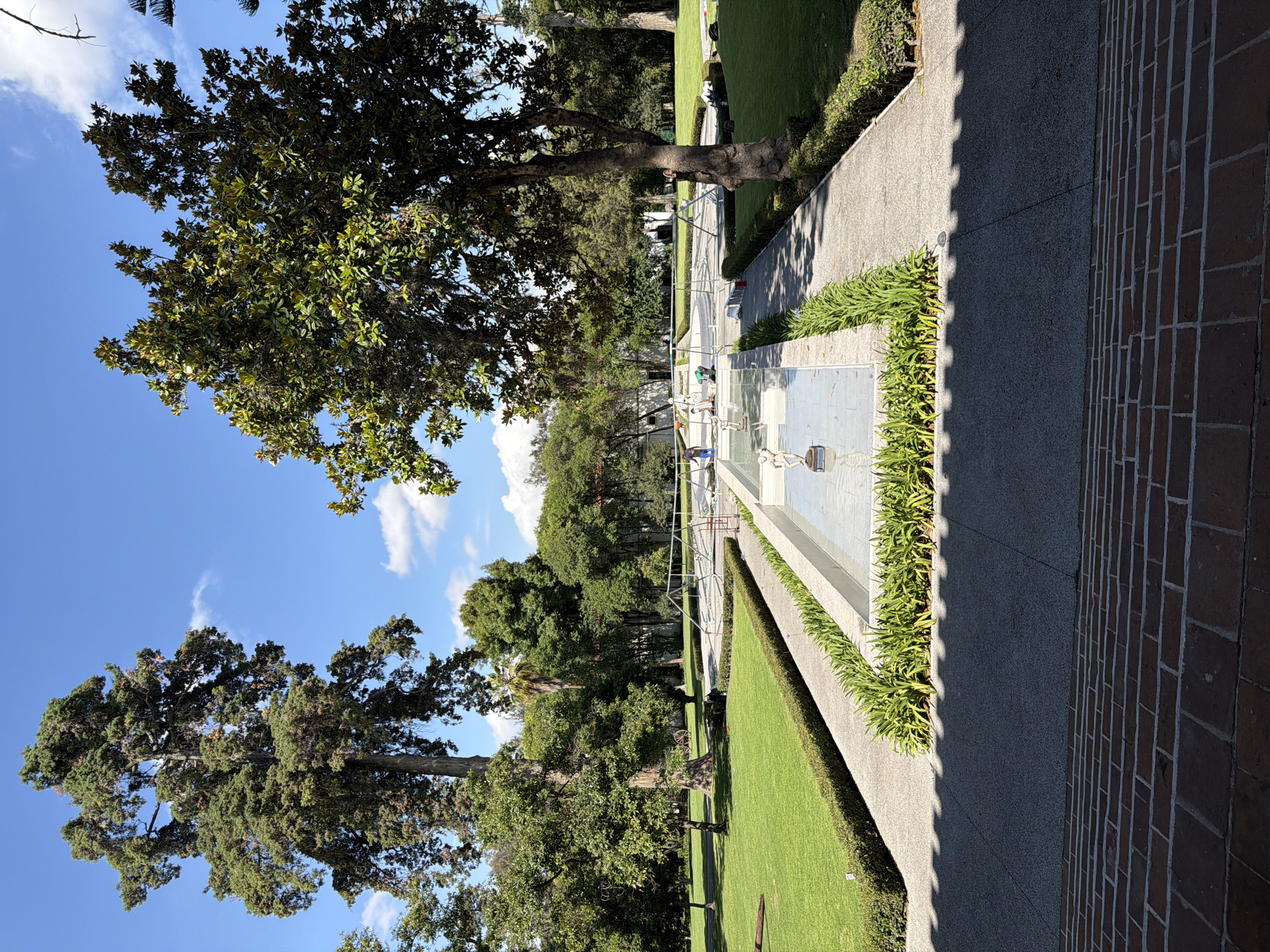 This image captures a vibrant outdoor scene within a well-maintained garden or park, likely in San Lucas el Grande, Mexico. The perspective, rotated 90 degrees clockwise, looks down a long, rectangular water feature or decorative pool that stretches into the distance.
The water feature, made of a light-colored material, contains several striking white, skeletal-like sculptures or abstract figures, resembling human forms, positioned at various points along its length. A metallic railing runs alongside one edge of the feature. To its right, a concrete pathway is bordered by manicured green shrubs and planters. This pathway is partially covered by a sharp, jagged shadow, indicating a strong light source and suggesting late morning or early afternoon. Further to the right, a textured brick wall or pathway extends along the entire right side of the frame.
To the left of the water feature and path are lush green lawns and a variety of mature trees with dense foliage, contributing to the park-like atmosphere. Two prominent trees stand in the foreground and mid-ground on the left, with their full canopies visible against the clear blue sky, which features scattered white clouds. Several people are seen near the water feature, observing the sculptures or strolling along the paths. One individual in a green shirt is leaning over the edge of the pool, while another in a blue shirt stands further back. The scene conveys a peaceful and pleasant outdoor environment. No discernible text is visible in the image.