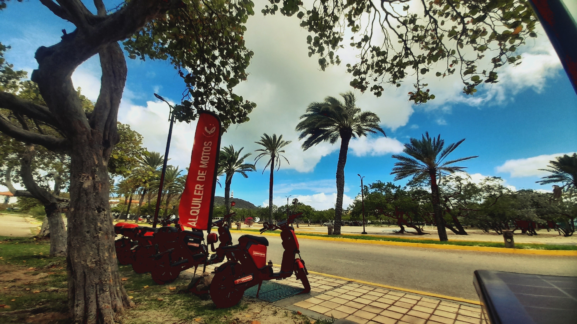 In the city of Pedro González, Venezuela, a row of red rental scooters is parked along a paved road. A tall, red banner with white text reading "ALQUILER DE MOTOS" (Motorcycle Rental) stands prominently to the left of the scooters. The scene is set against a backdrop of lush green trees and palm trees, with a bright blue sky dotted with white clouds. The ground in the foreground is a mix of sand and fallen leaves. A large tree trunk dominates the left side of the image.