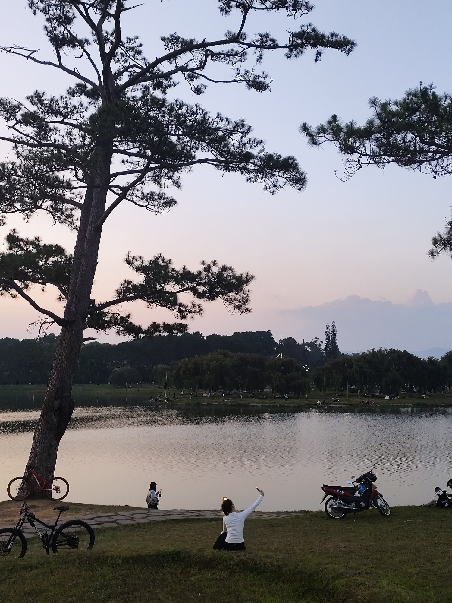 Captured during the daytime in Da Lat, Vietnam, the photo portrays a tranquil lakeside scene. A large tree dominates the left side of the frame, with its branches extending across the upper portion of the image. In the foreground, two bicycles are parked beneath the tree. Two people are seated on the bank of the lake. One woman is seated with one arm raised. A red and black motorcycle is parked nearby, while another person is seated near the motorcycle. The lake reflects the muted colors of the sky. In the background, trees line the horizon.