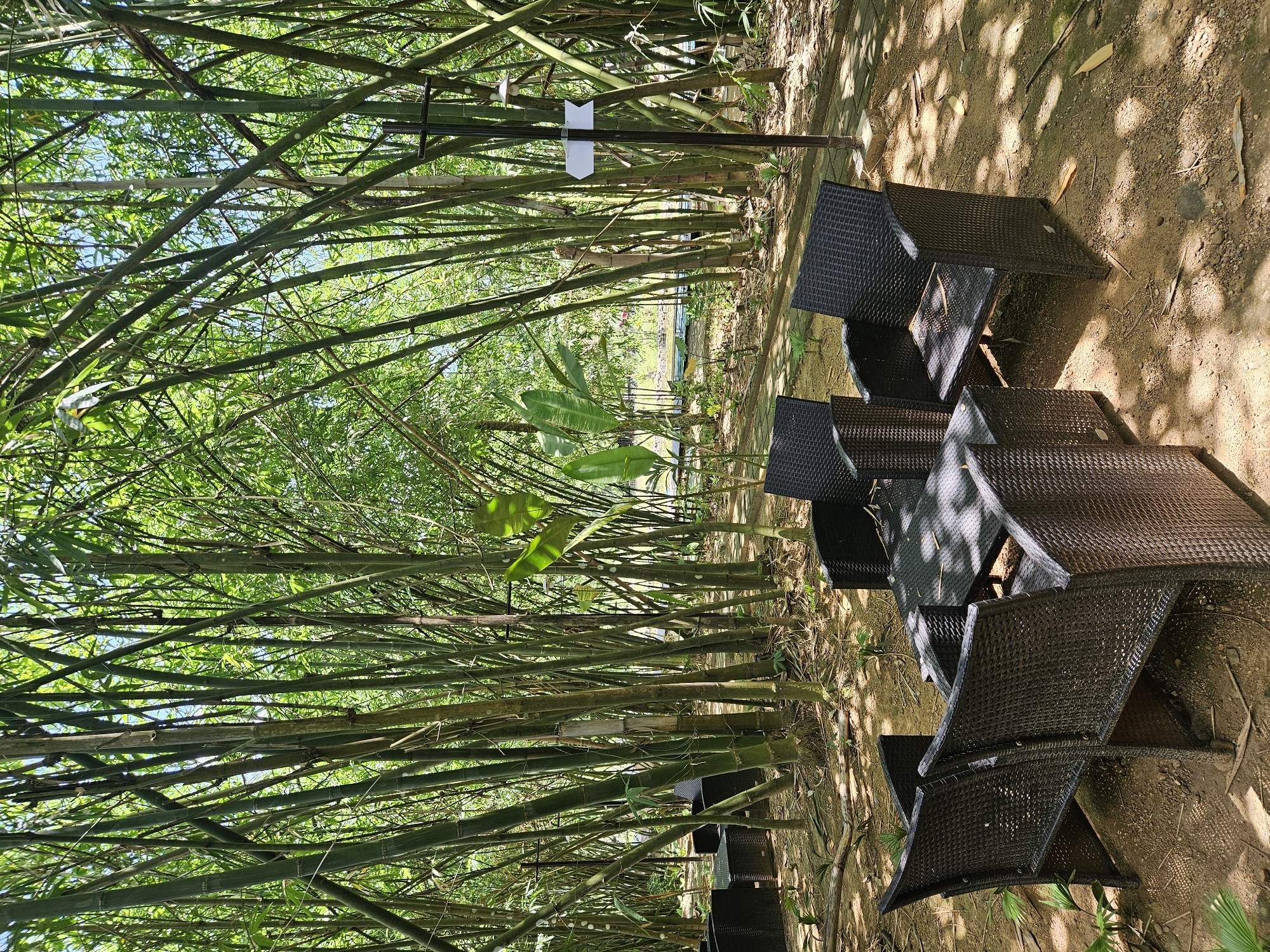 An outdoor seating area is depicted within a dense bamboo forest. The furniture consists of black woven chairs and a matching table arranged on a dirt and gravel ground. A black metal post with a white directional sign is visible to the right of the seating arrangement, pointing towards the left. The environment is characterized by numerous tall bamboo stalks, creating a natural canopy overhead. Sunlight filters through the bamboo leaves, casting dappled shadows on the ground. In the background, a body of water and more vegetation can be seen. The scene appears to be a tranquil outdoor space, possibly a cafe or relaxation area within a garden or resort in Da Nang, Vietnam, given the mention of the city. There are no people present in the image.