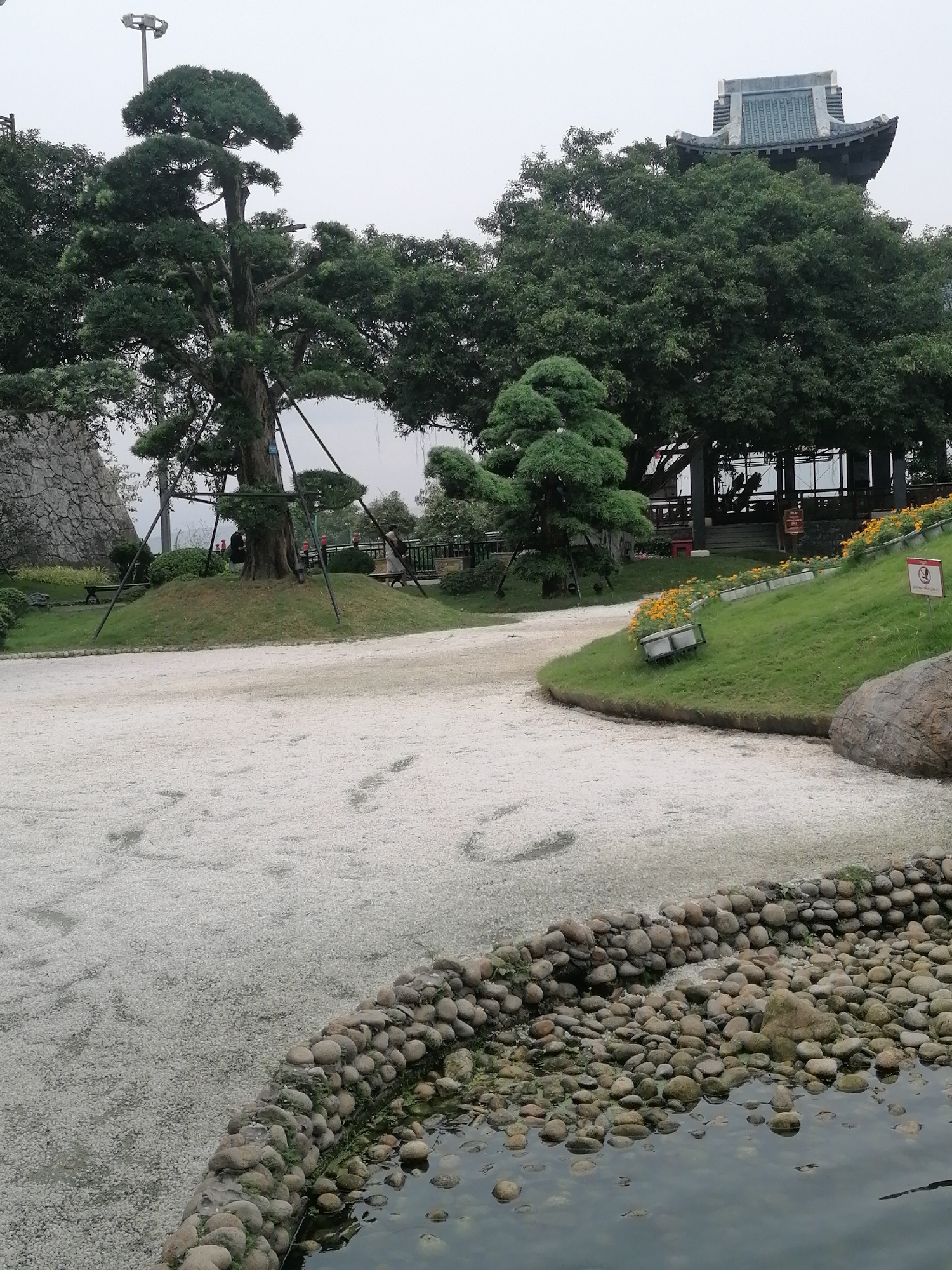 The image captures a serene garden scene in Hong Gai Ward, Vietnam. In the foreground, a pond is lined with rounded stones. Behind the pond is a gravel surface. A large, sculpted tree stands to the left, supported by guy wires. Grass and foliage surround the tree, with a few benches visible. Further back, a traditional pagoda-style structure is visible among dense trees. On a nearby grassy slope, orange flowers are planted in containers. The sky is overcast, suggesting a cloudy or hazy day.
