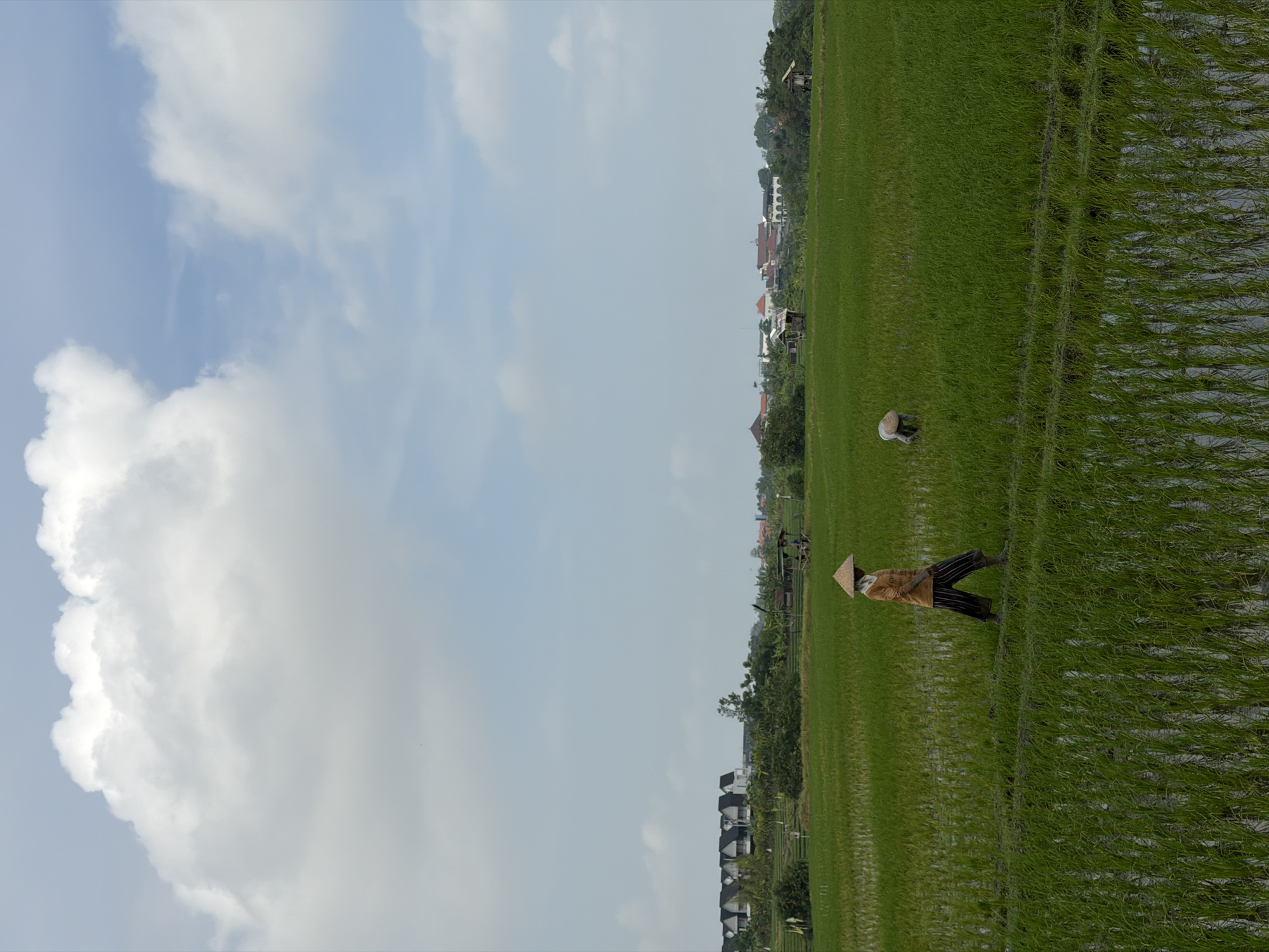 A wide shot captures a lush green rice paddy under a partially cloudy sky in North Kuta, Indonesia. Two farmers are tending to the crops. In the foreground, a farmer wearing a conical hat and an orange shirt walks across a narrow path between flooded sections of the rice field. In the middle ground, a second farmer, also wearing a conical hat, is bent over, seemingly working on the rice plants. In the distance, a line of modern white houses with dark roofs stretches across the horizon, interspersed with trees. Small, rustic shelters are visible within the rice fields. The sky is a pale blue, with large, white cumulus clouds dominating the upper portion of the frame.
