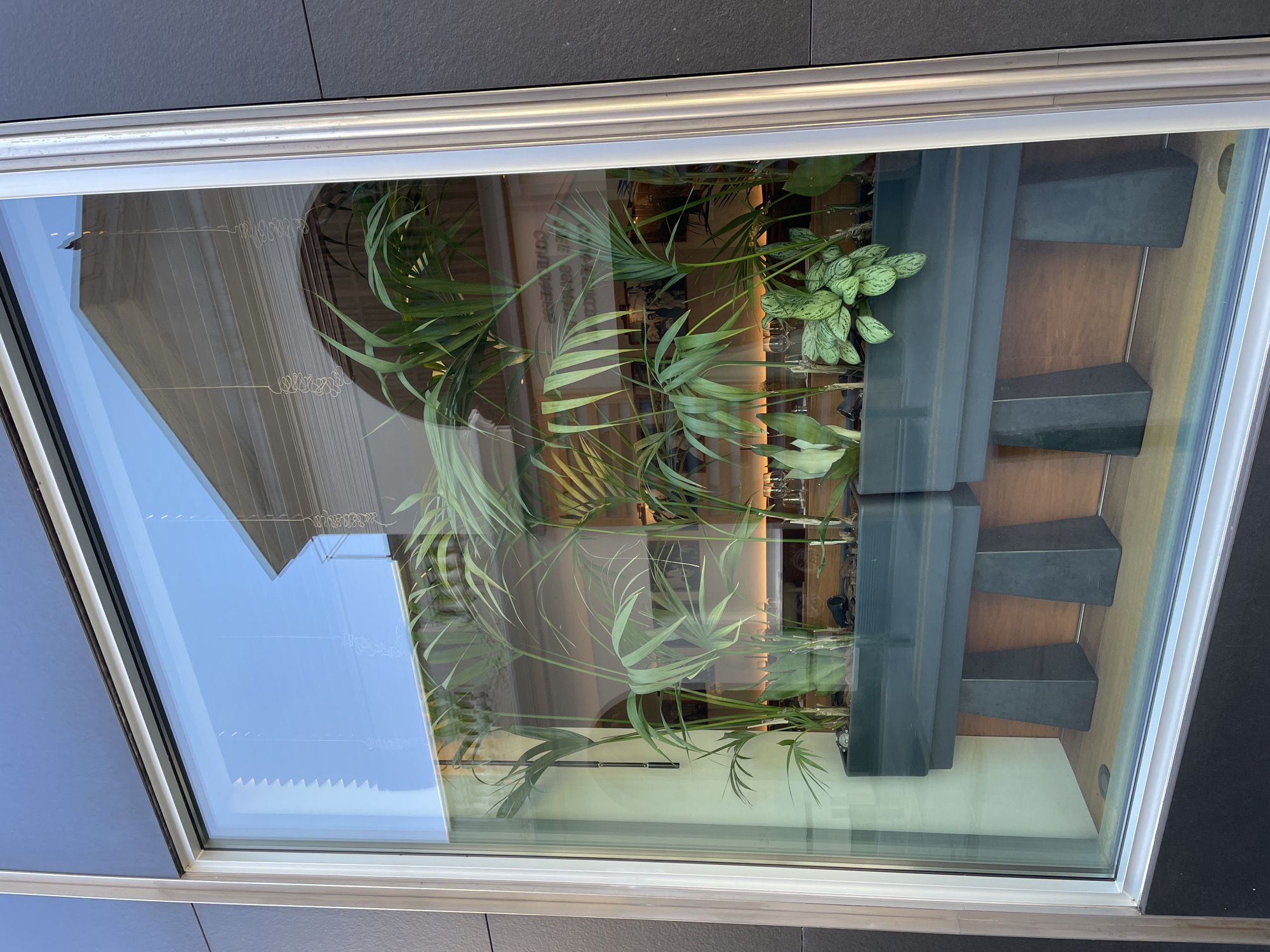 The image displays a large, rectangular display window set into a modern building with a dark grey paneled facade and a silver-toned metallic frame. Inside the window, a meticulously arranged botanical display features multiple vibrant green plants, predominantly Areca palms, along with a variegated plant displaying light green leaves and another with upright, stiff foliage. These plants are housed in two dark grey, rectangular planters, which are elevated on dark, trapezoidal pedestal bases, resting on a light brown wooden surface.
Through the glass, beyond the plants, the interior of what appears to be a commercial establishment is visible, possibly a cafe or restaurant. Stemware is discernible on a counter, and framed pictures or artwork adorn a back wall. Distinctly visible on this back wall, partially obscured and inverted due to reflection, is text that reads "BARCELONA" and "BORN" (when read correctly), strongly indicating the location in the city of Barcelona, Spain, specifically referencing the El Born neighborhood. An arched doorway or structural element is also faintly visible in the background.
The window's reflective surface prominently shows elements of the exterior environment. A clear blue sky is reflected in the upper portion, along with the upper facade of a light-colored, classically styled building featuring architectural details such as pilasters or columns and horizontal cornices. Within the reflected windows of this building, horizontal blinds are visible, along with two decorative, spiraled vertical elements. No people are present in the scene.
