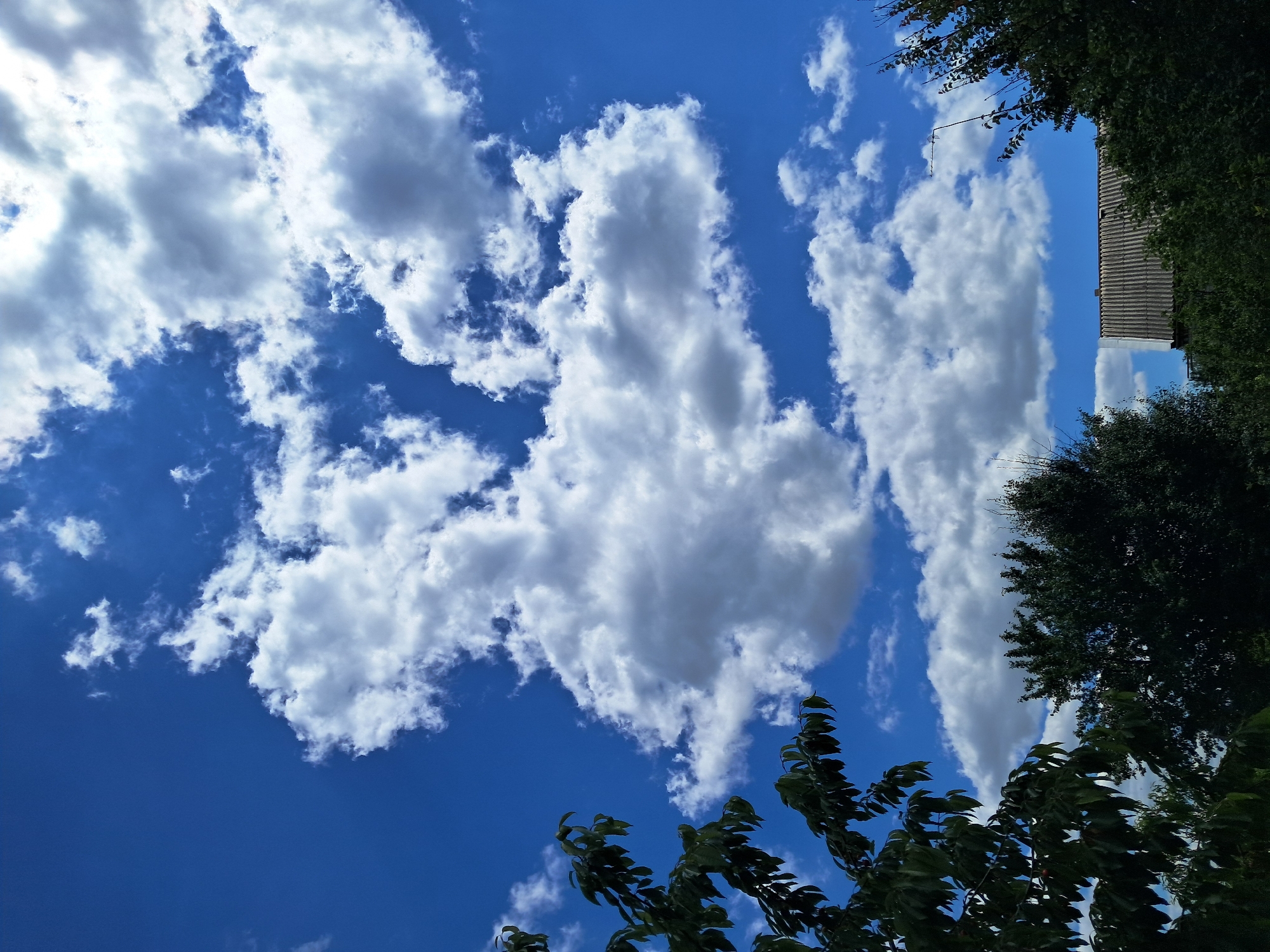 The image depicts a daytime view of a suburban area in Kremenchuk, Ukraine, dominated by a bright blue sky filled with fluffy white cumulus clouds. In the foreground, the tops of dark green trees and foliage are visible, partially obscuring the view of a building with a grey, corrugated roof. The building appears to be a house or a small structure. An antenna extends from the roof upwards into the sky. The scene is tranquil and suggests a clear, pleasant day.