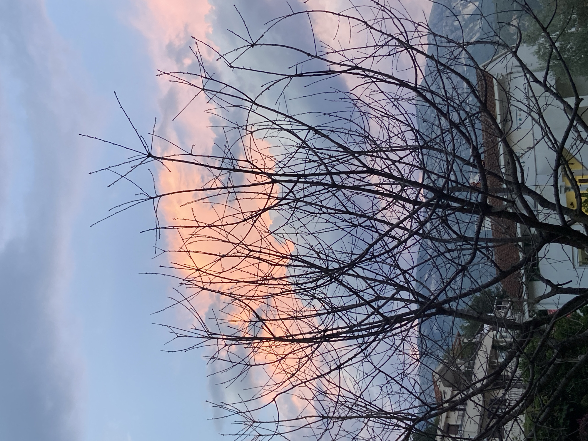 A bare tree with dark branches dominates the foreground of this image, silhouetted against a sky filled with soft pink and blue clouds. The branches are intricate and reach upwards, some spreading widely and others more densely clustered. In the background, a cluster of houses with white walls and terracotta roofs is visible, nestled among green foliage. Beyond the houses, a mountain range with a textured, gray-blue surface rises, its peaks softened by the distance and the twilight atmosphere. The overall scene suggests a tranquil evening in a residential area with a natural landscape backdrop.